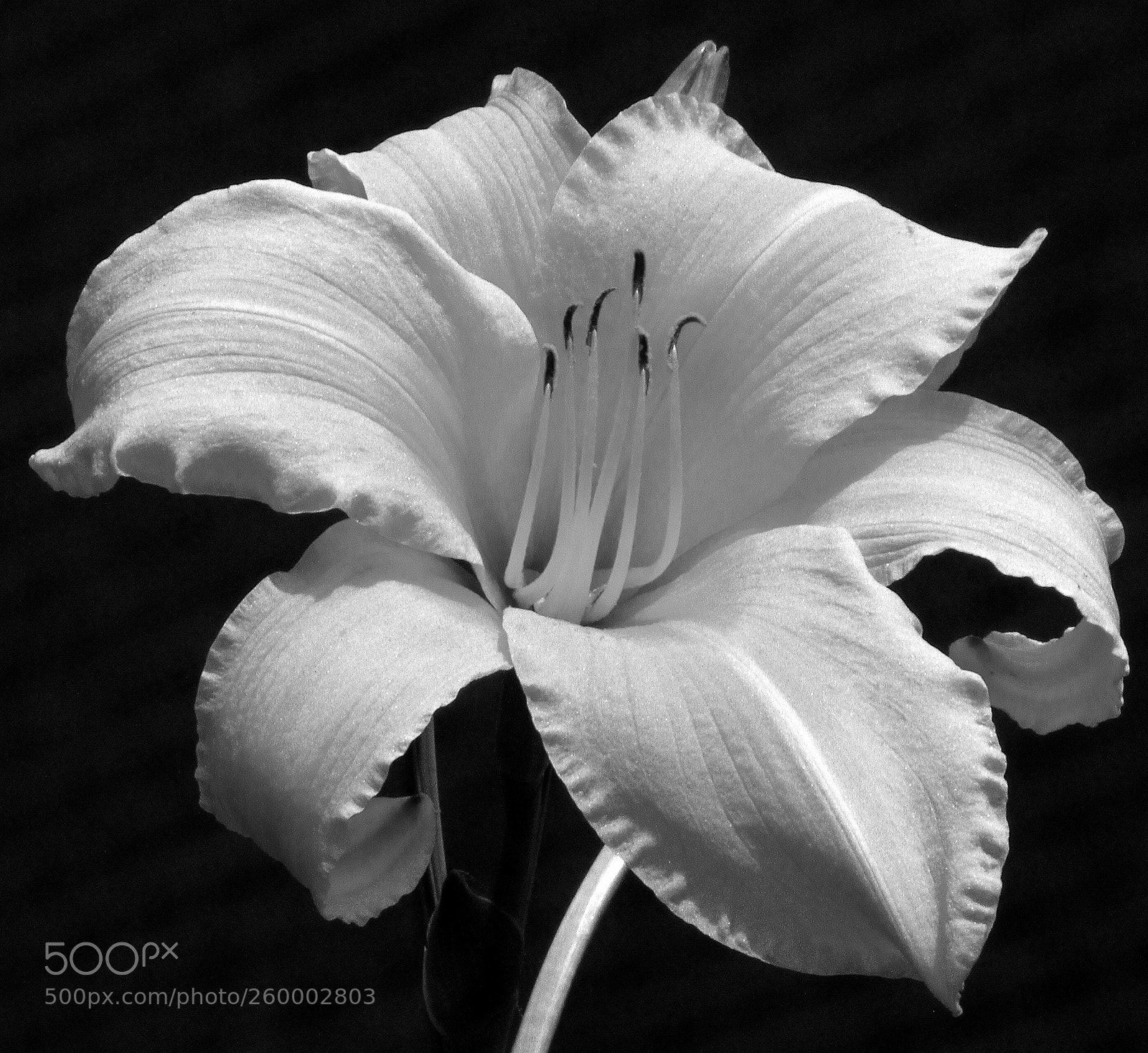 Canon EOS 7D sample photo. Untitled photography