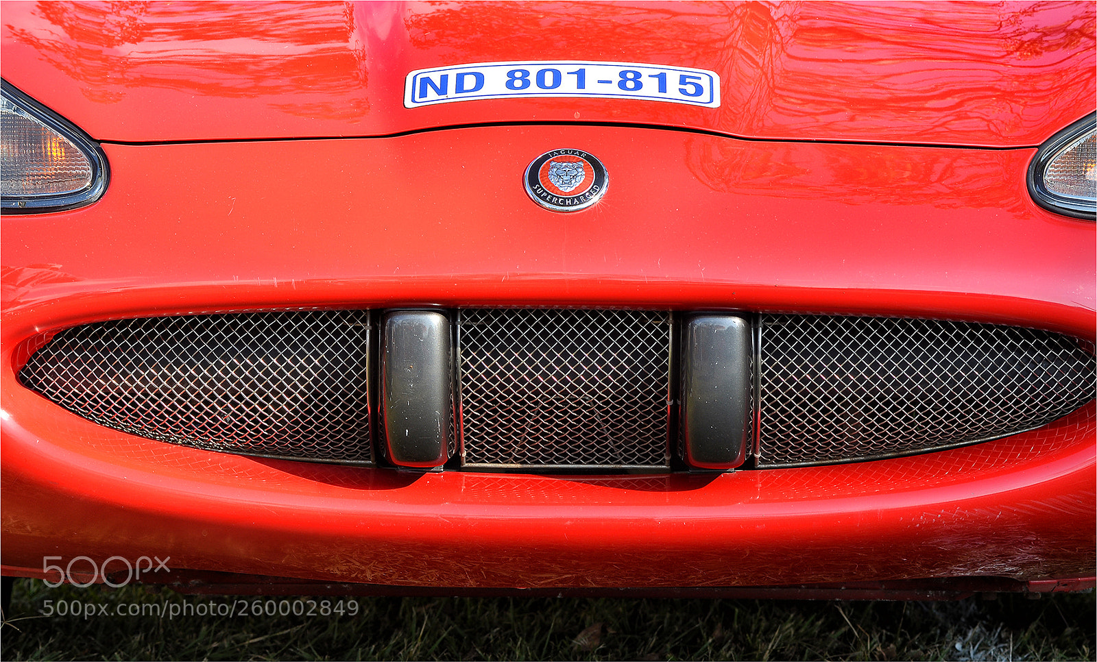 Nikon D7000 sample photo. Red jaguar hd photography