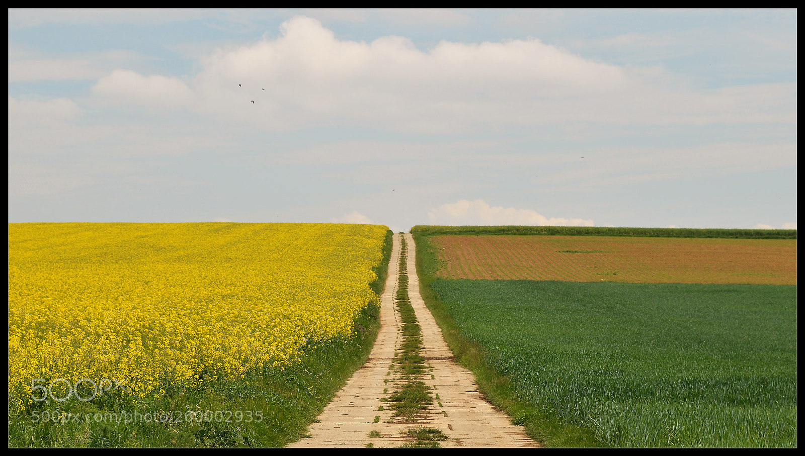 Nikon D3200 sample photo. The way to heaven... photography