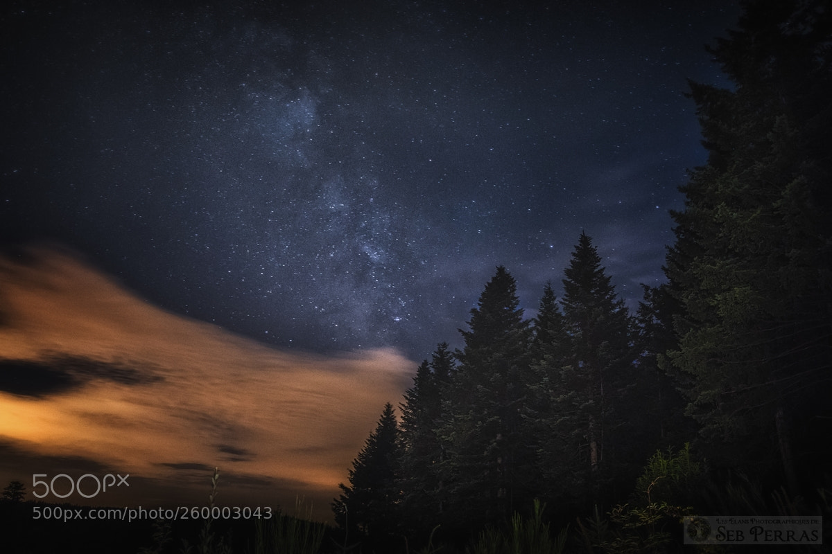 Sony ILCA-77M2 sample photo. Under the stars system photography