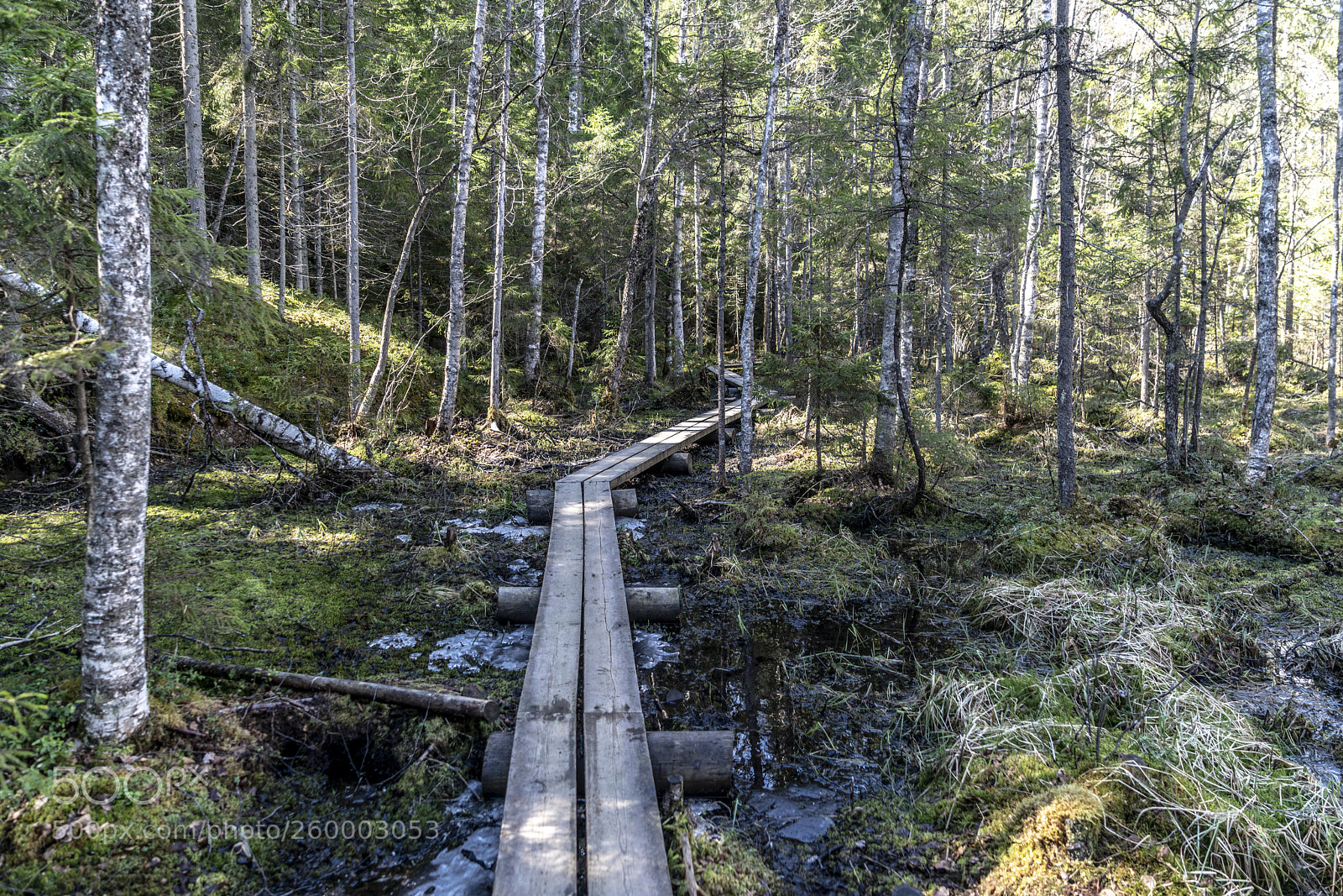 Sony a7R II sample photo. Finland - nature photography