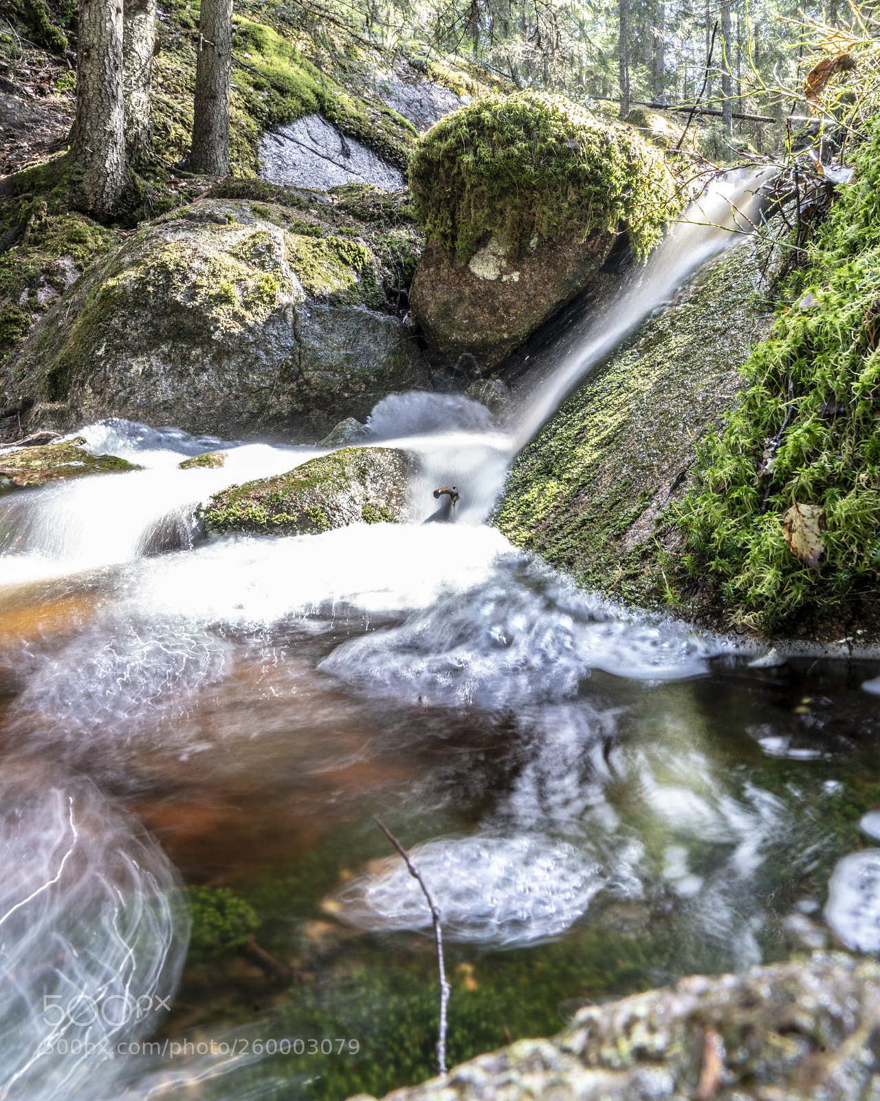 Sony a7R II sample photo. Finland - nature photography