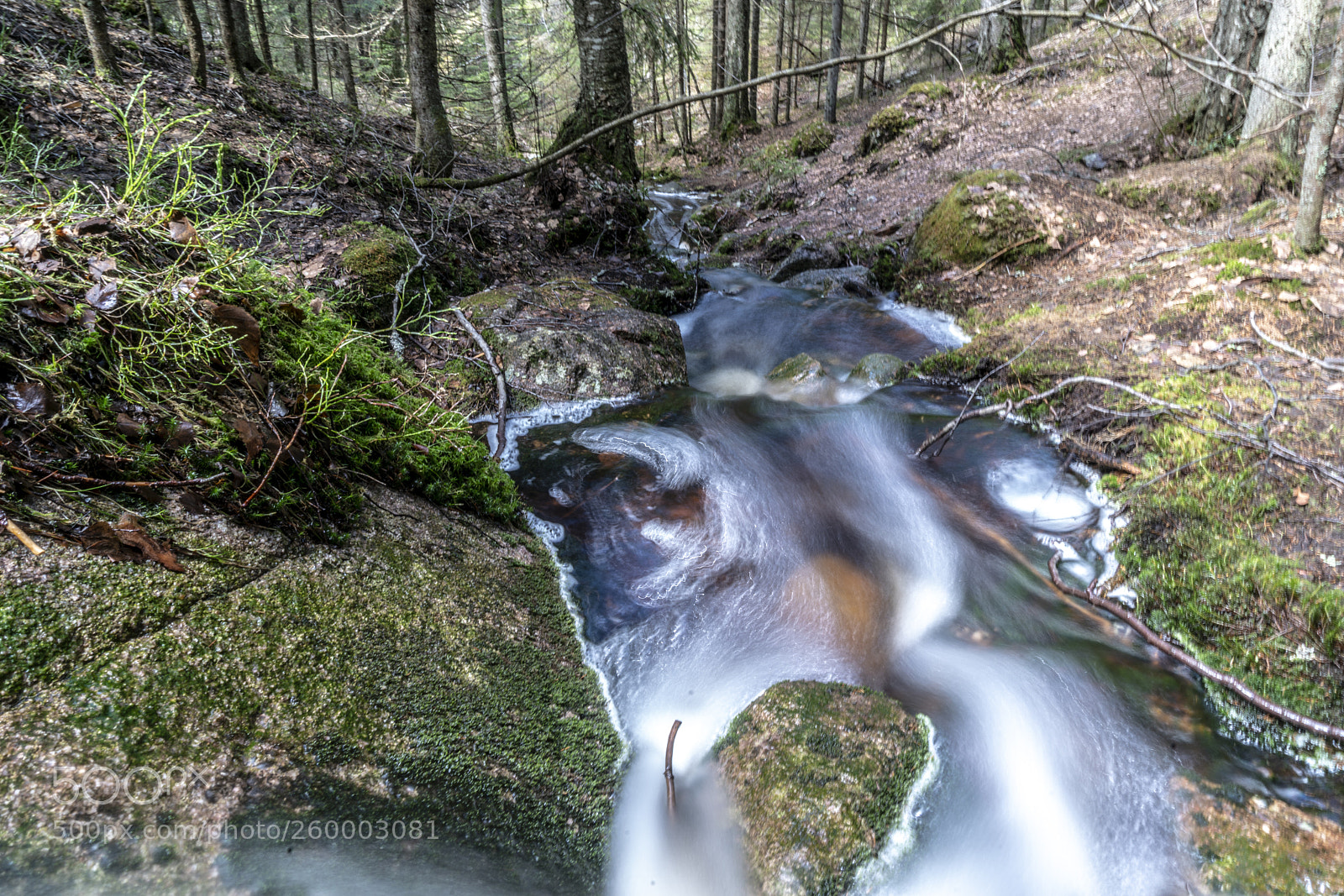 Sony a7R II sample photo. Finland - nature photography