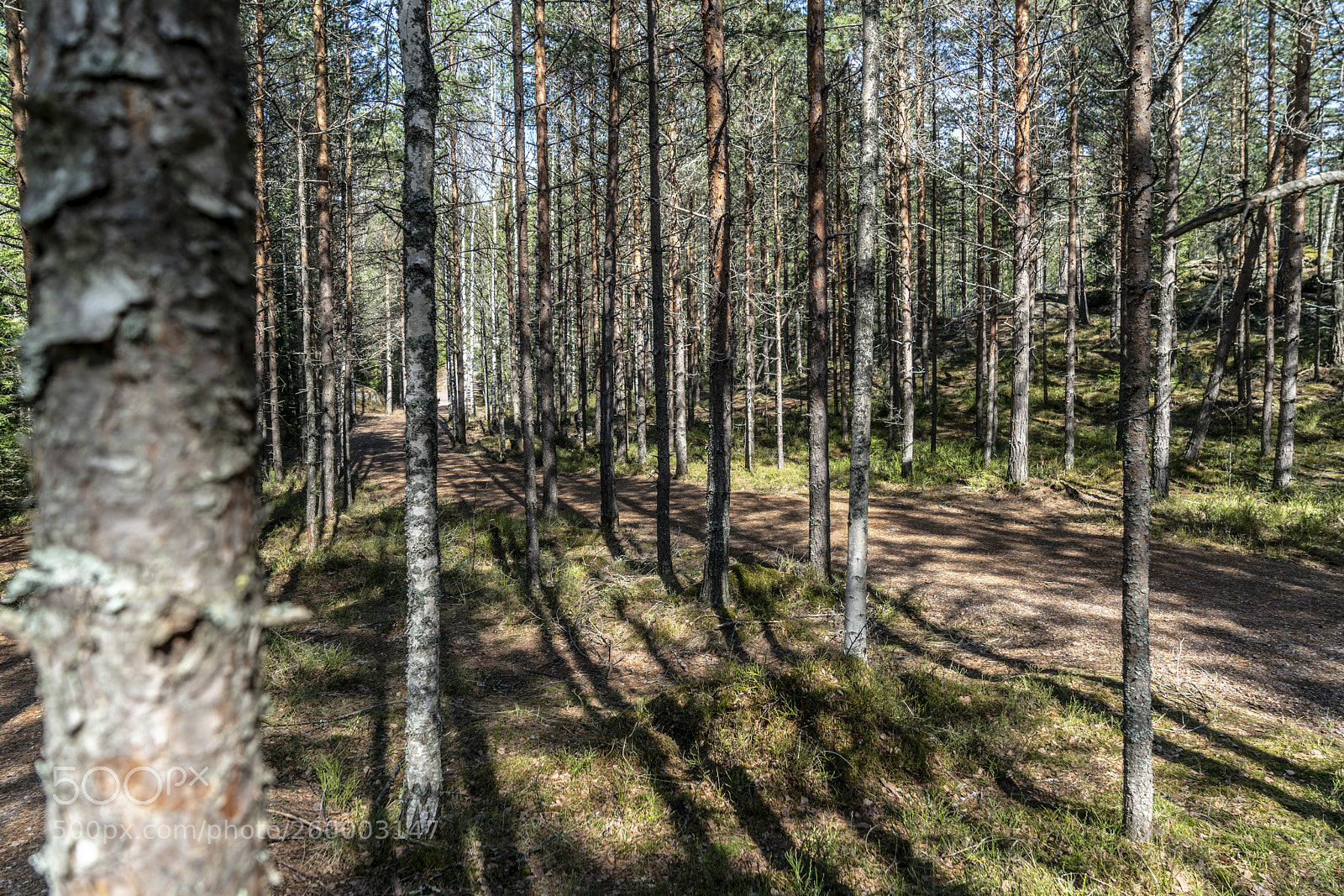 Sony a7R II sample photo. Finland - nature photography