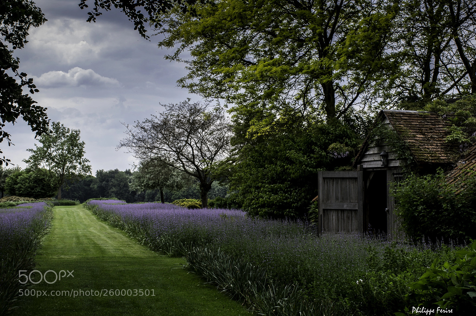 Nikon D3200 sample photo. Spring photography