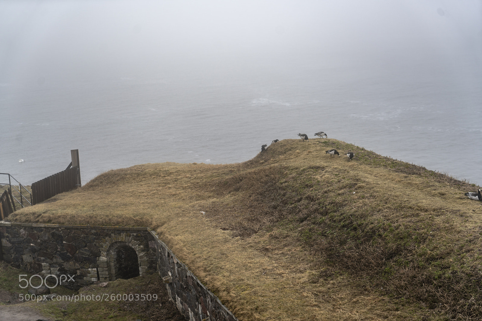 Sony a7R II sample photo. Suomenlinna island photography