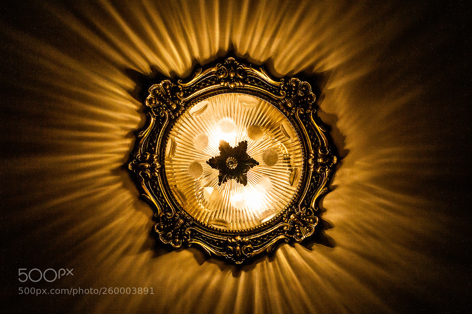 Nikon D3200 sample photo. Golden light photography