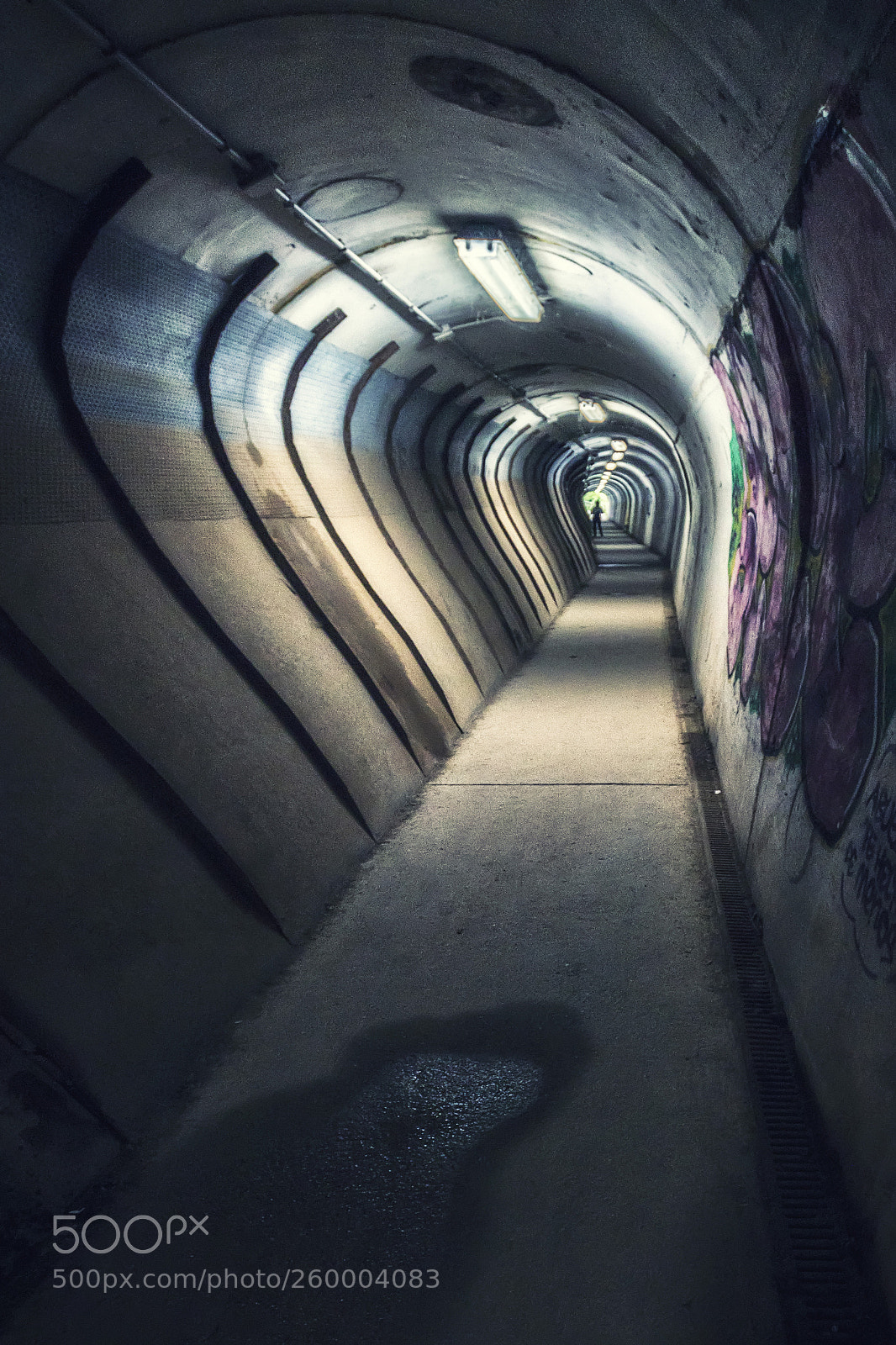 Canon EOS 80D sample photo. Deeper underground photography