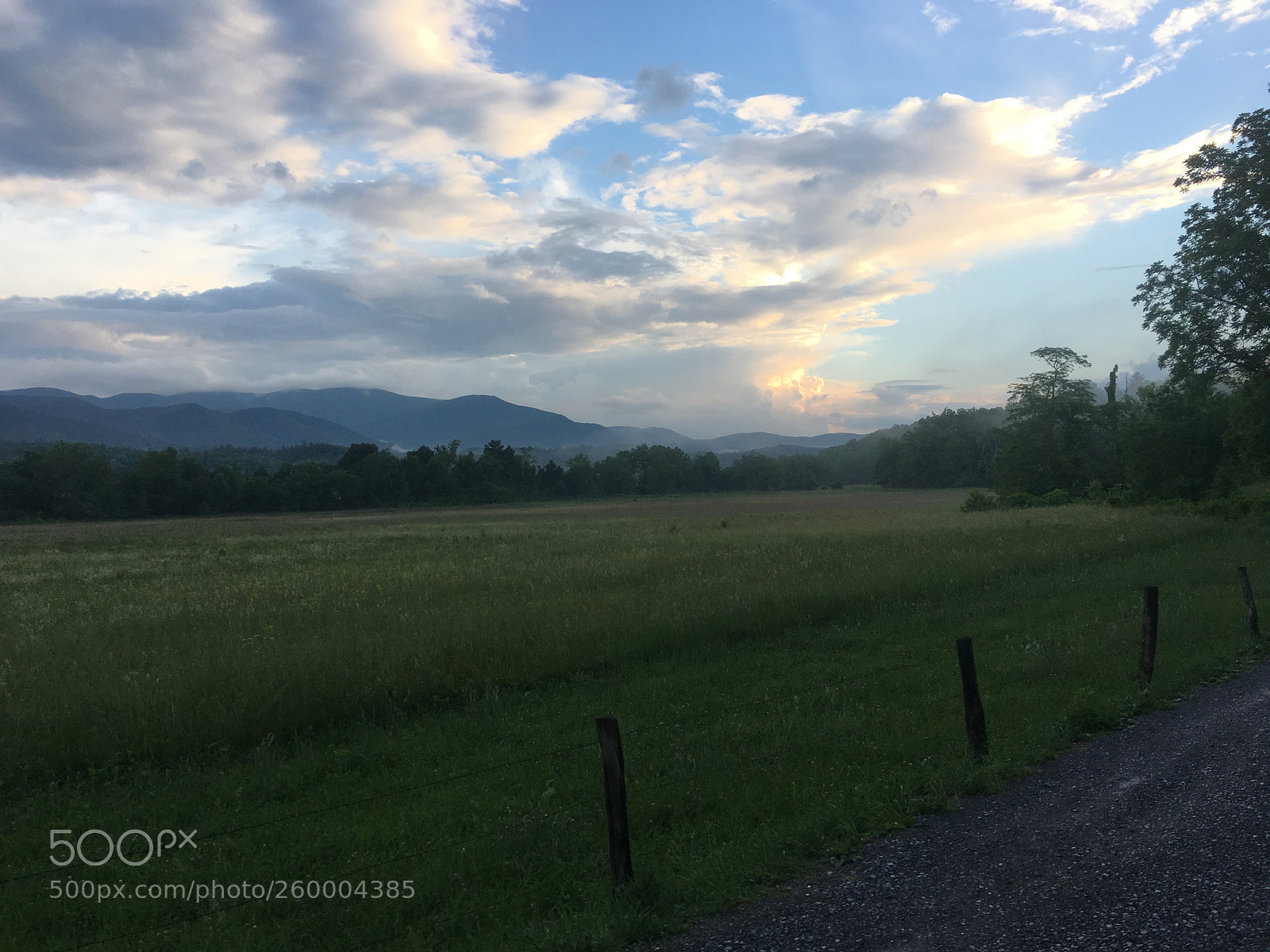 Apple iPhone 6s sample photo. 051.jpg photography