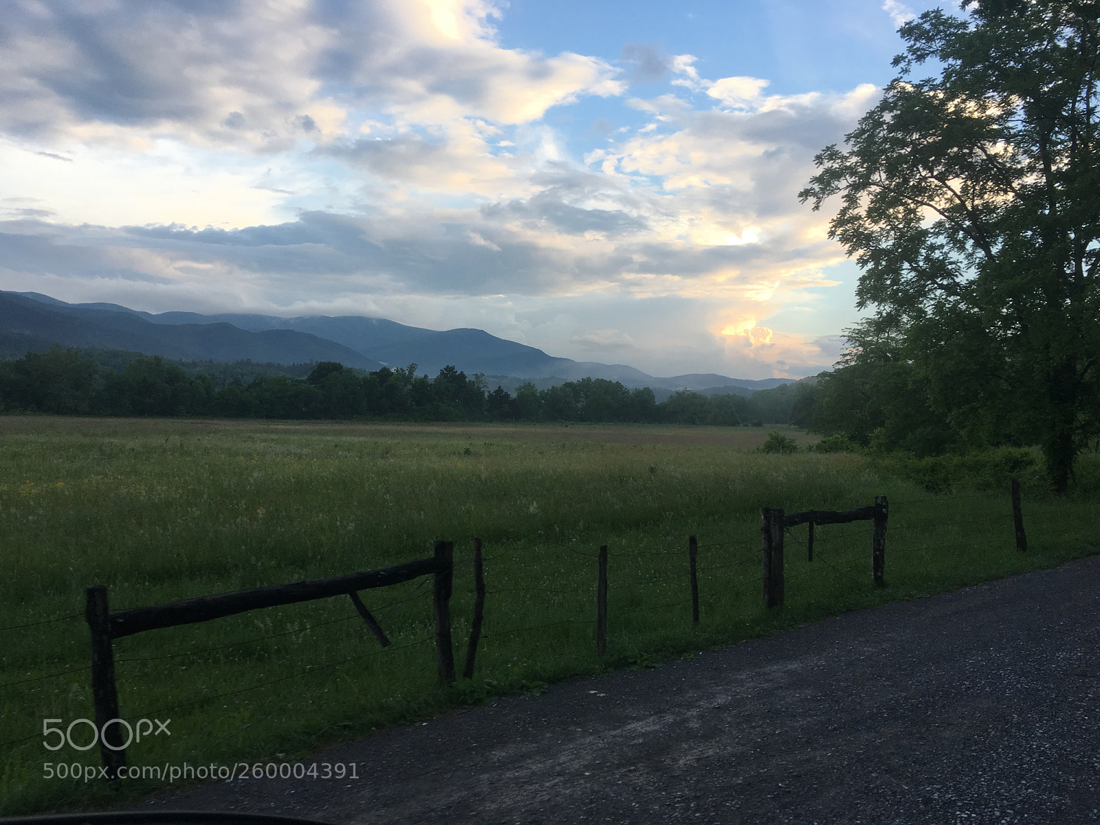 Apple iPhone 6s sample photo. 053.jpg photography