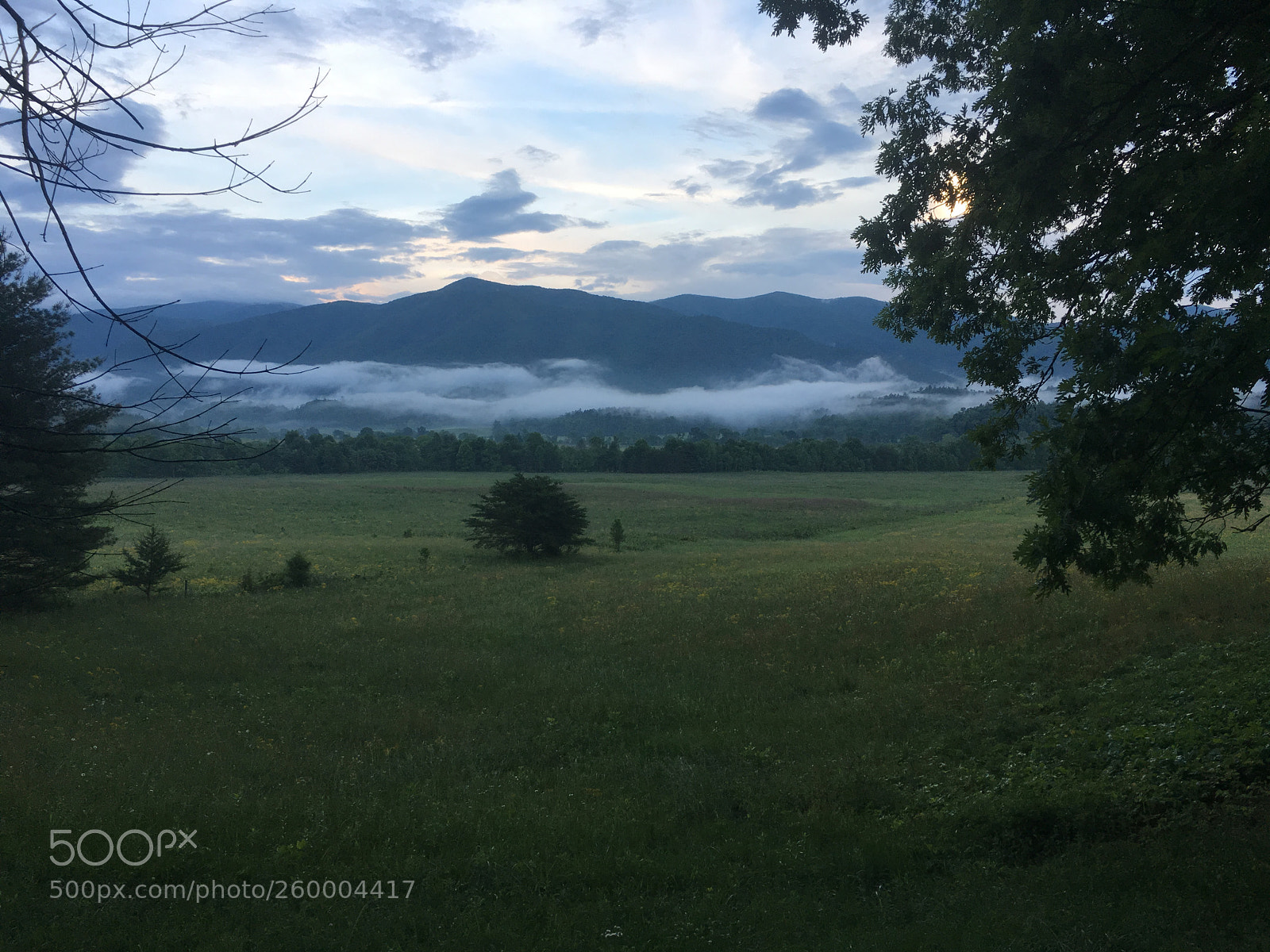 Apple iPhone 6s sample photo. 063.jpg photography