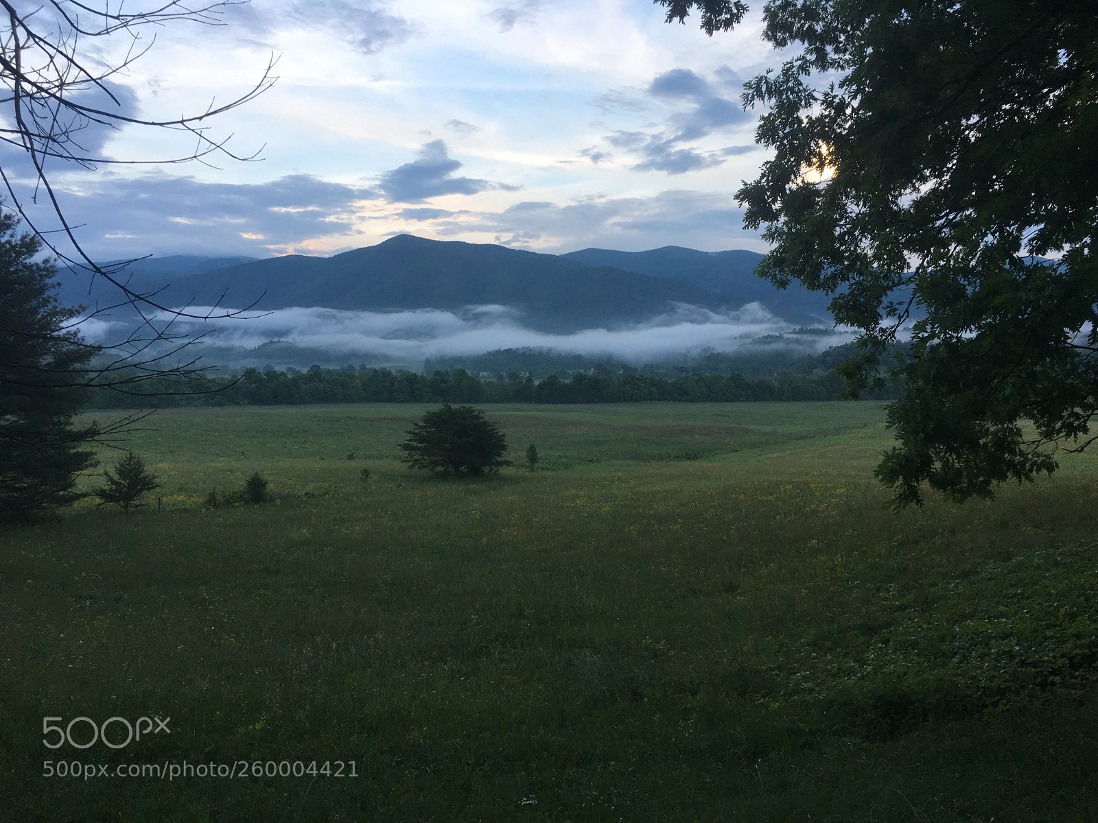 Apple iPhone 6s sample photo. 064.jpg photography