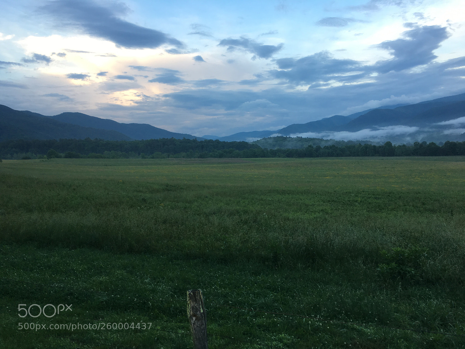 Apple iPhone 6s sample photo. 068.jpg photography