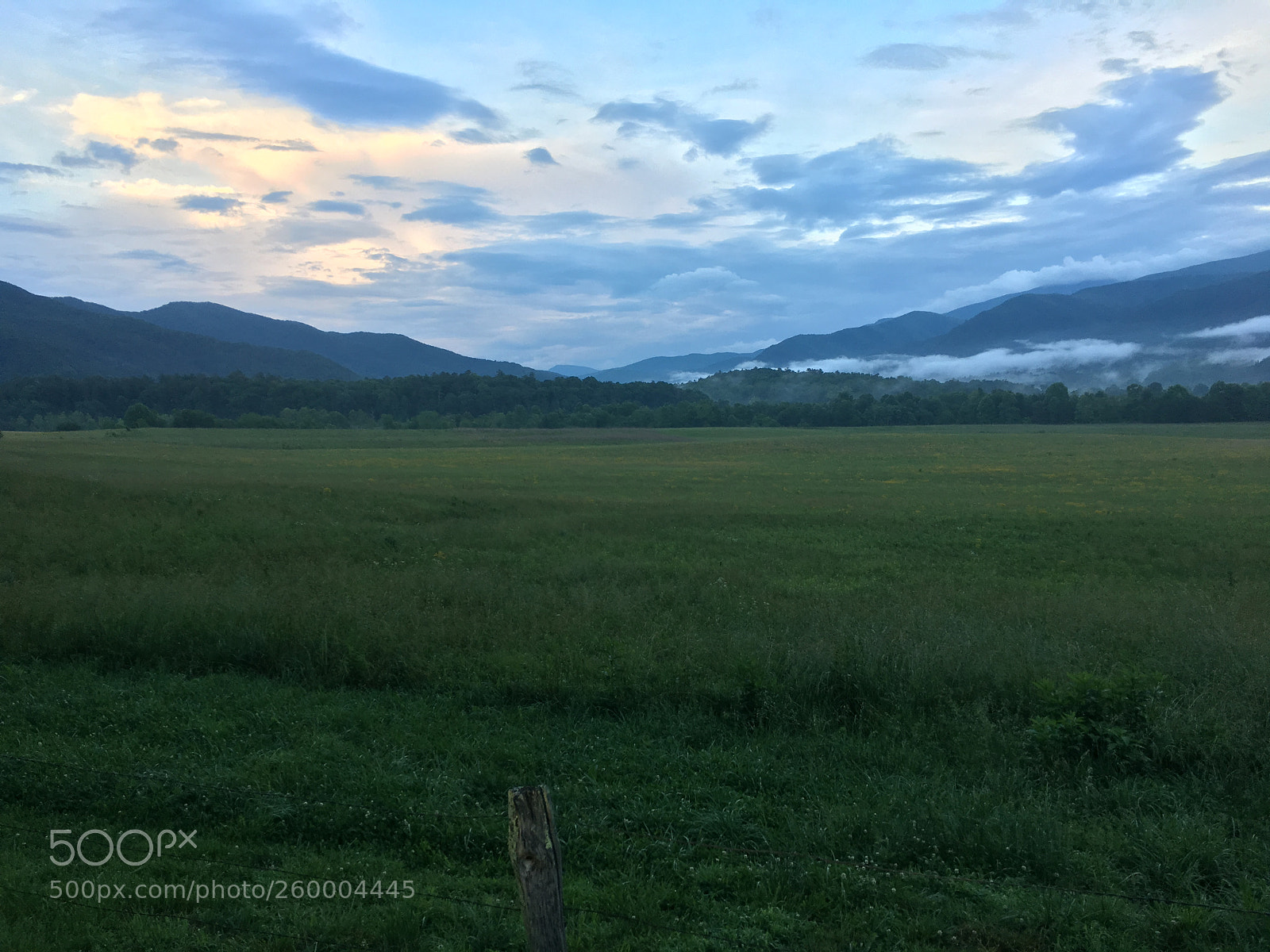 Apple iPhone 6s sample photo. 069.jpg photography