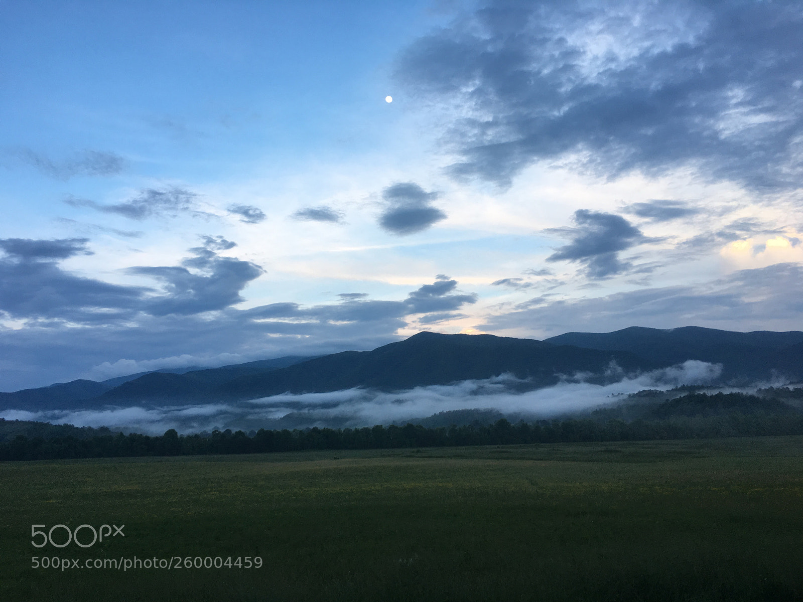Apple iPhone 6s sample photo. 073.jpg photography