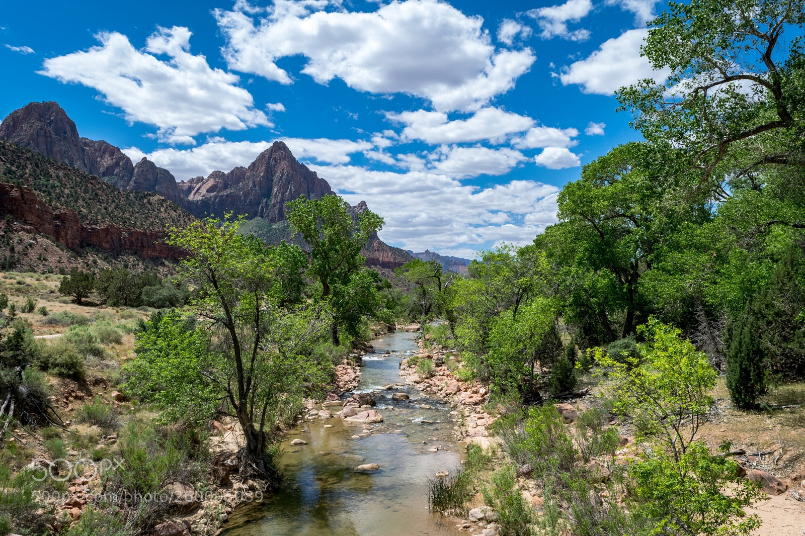 Nikon D5300 sample photo. Pa'rus trail, zion photography