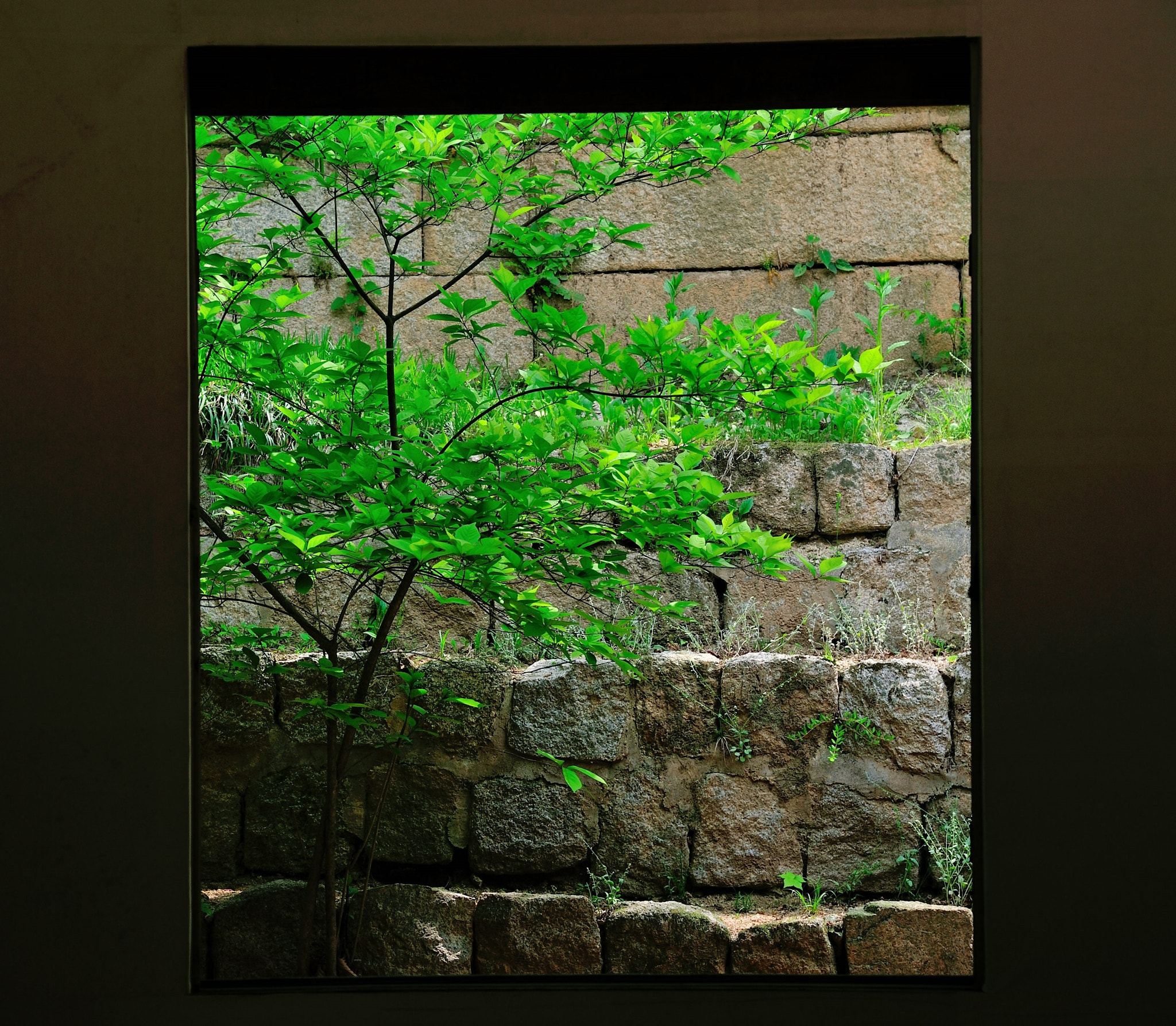 Nikon AF-S Nikkor 24-120mm F4G ED VR sample photo. A window view photography
