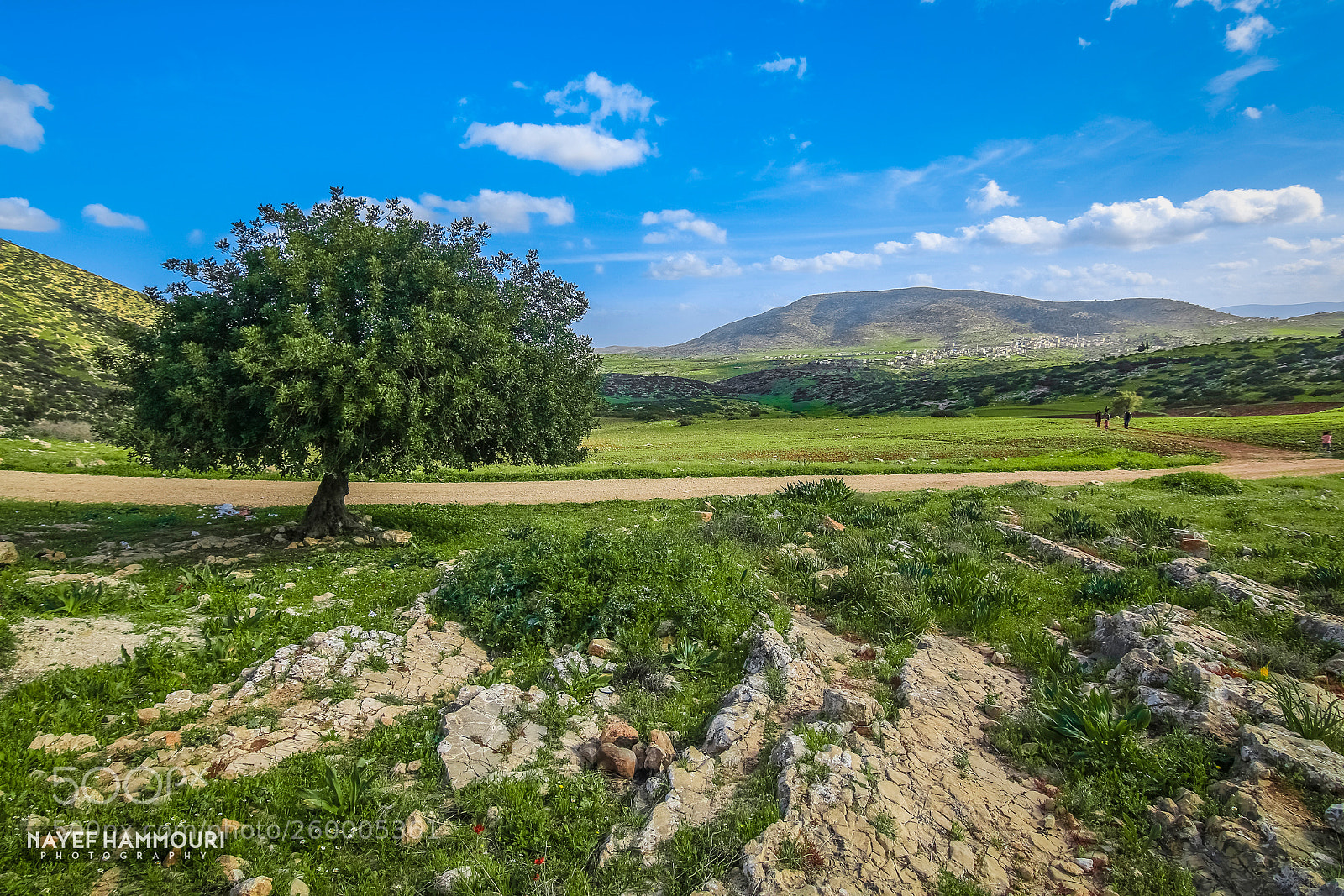 Canon EOS 70D sample photo. Tubas landscape photography
