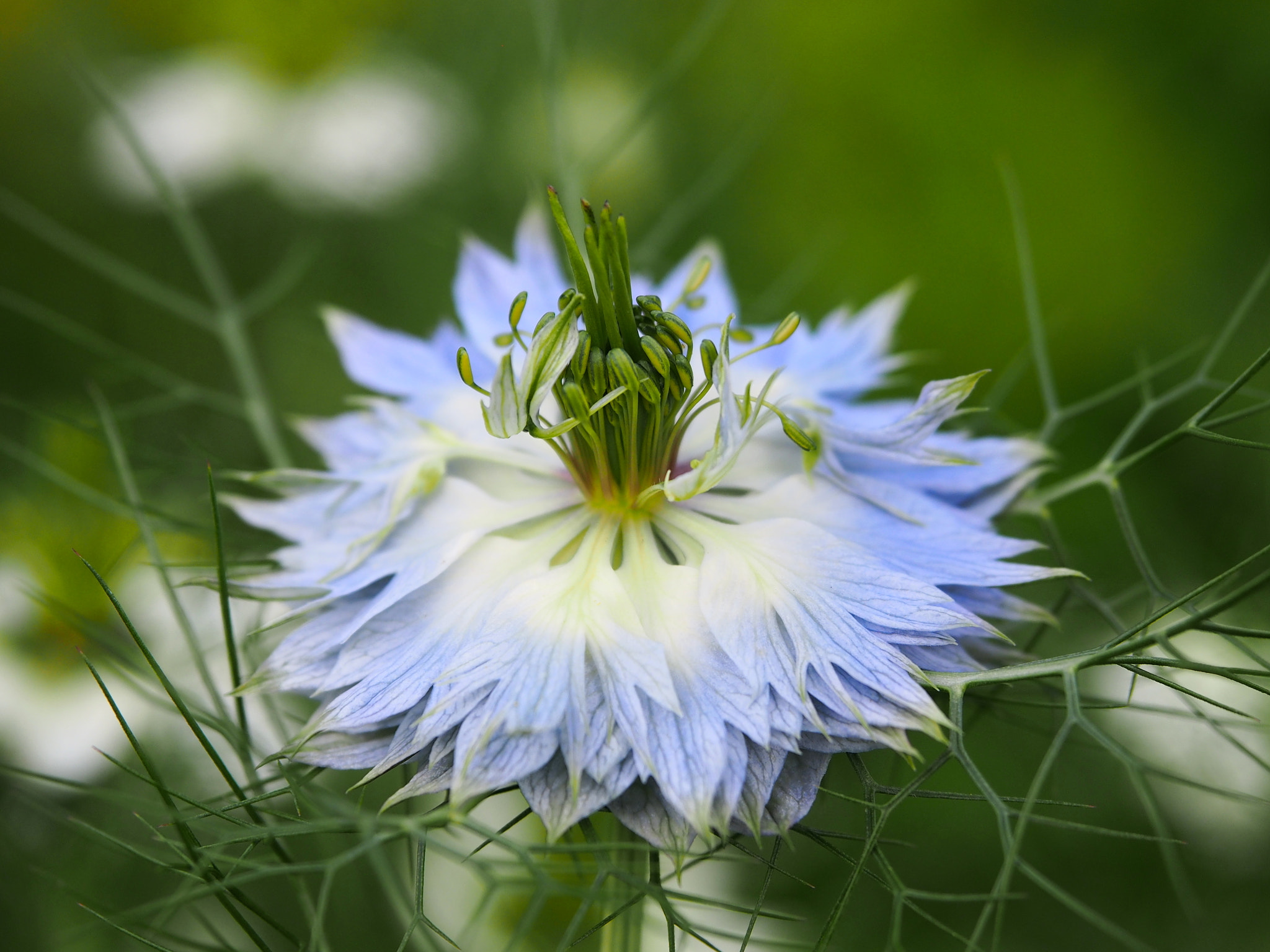 Olympus PEN E-PL5 sample photo. Upscale photography