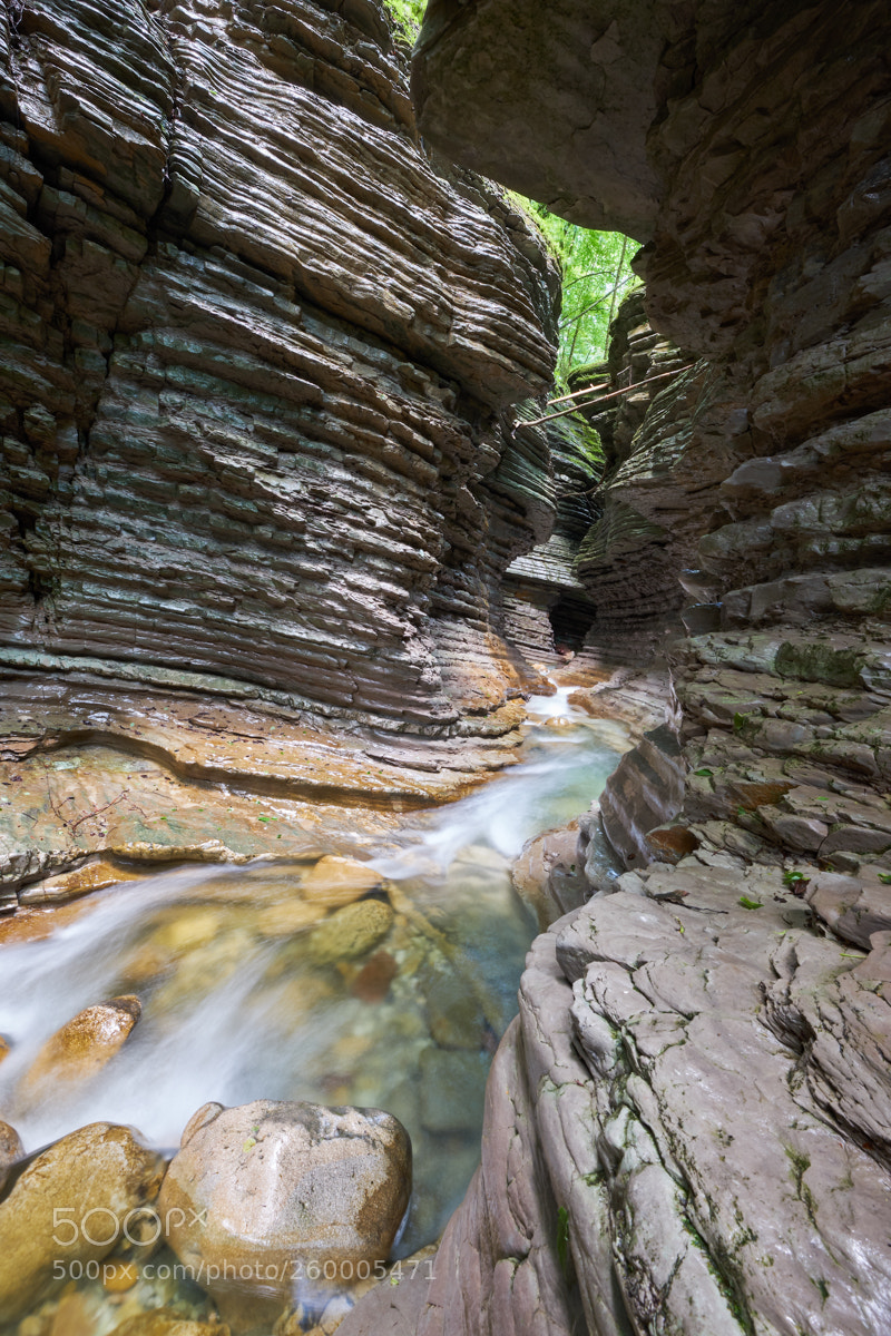 Fujifilm X-T2 sample photo. Amazing route photography