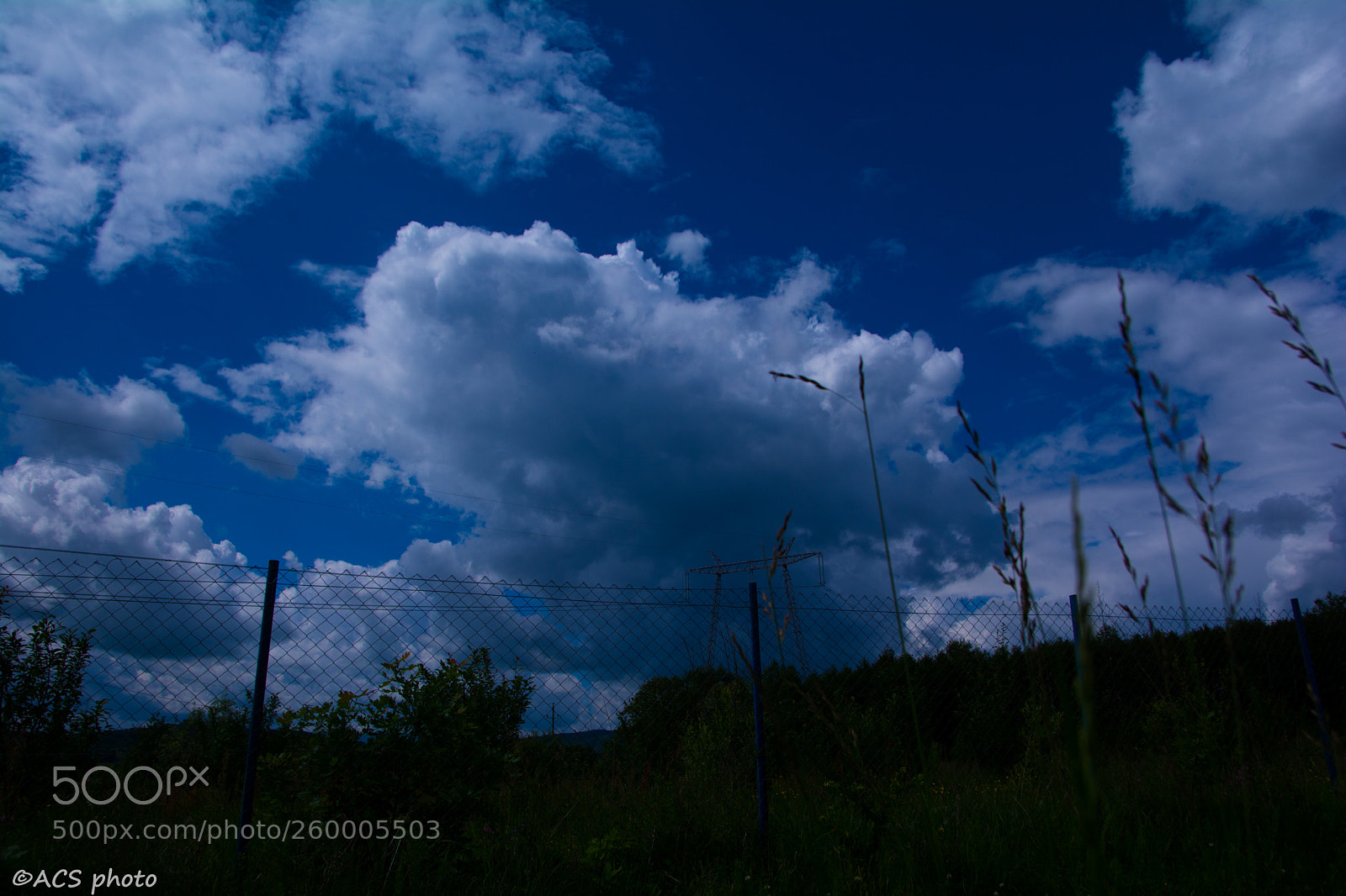Nikon D7100 sample photo. Acs (of ) photography
