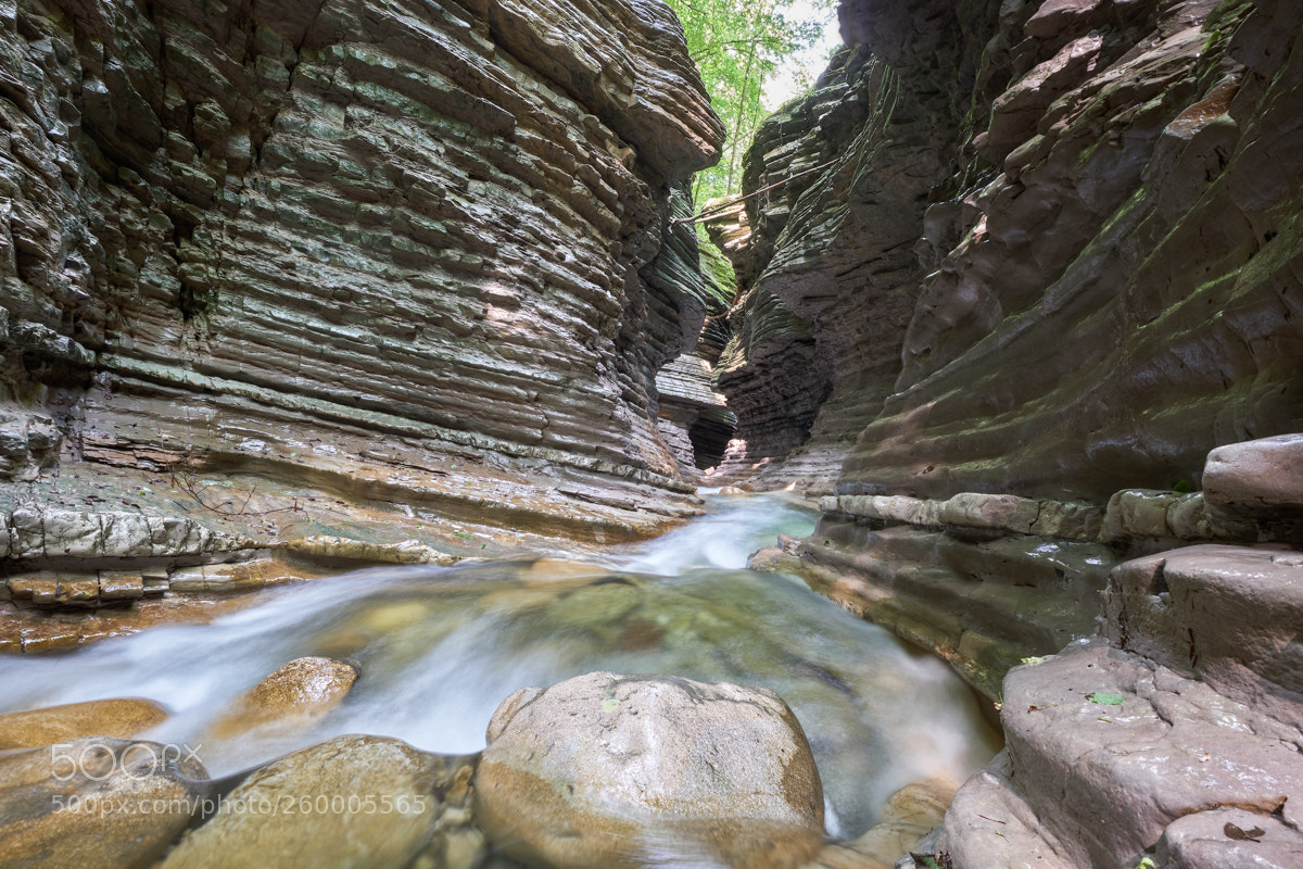 Fujifilm X-T2 sample photo. Layers of nature photography