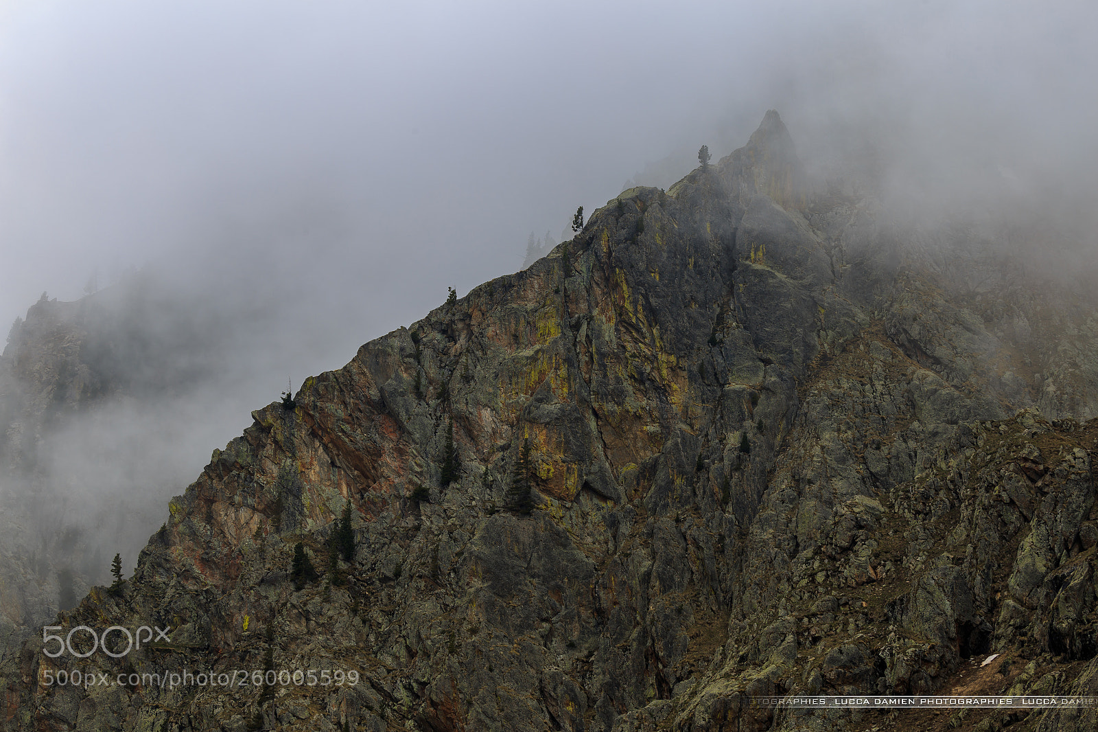 Canon EOS 6D sample photo. Into the fog photography