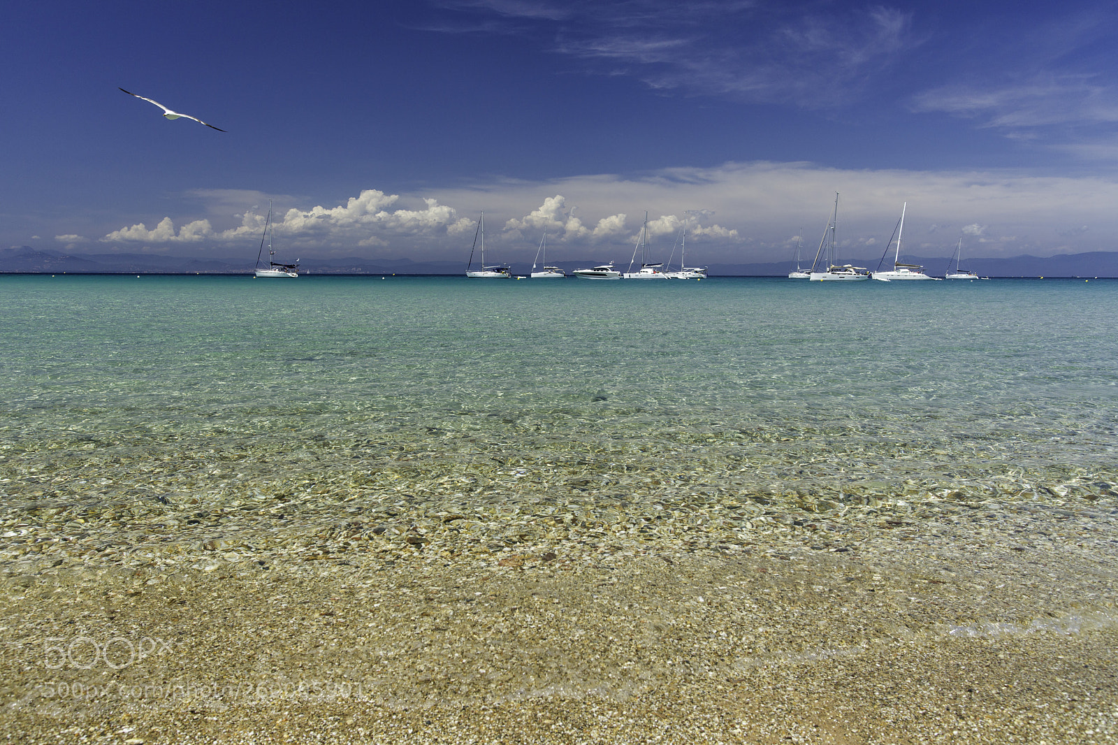 Sony Alpha DSLR-A850 sample photo. Porquerolles photography