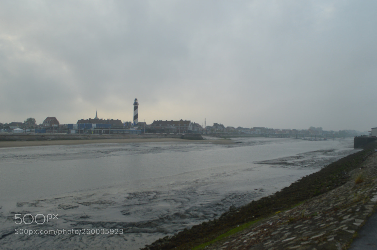 Nikon D3200 sample photo. Under the rain! photography