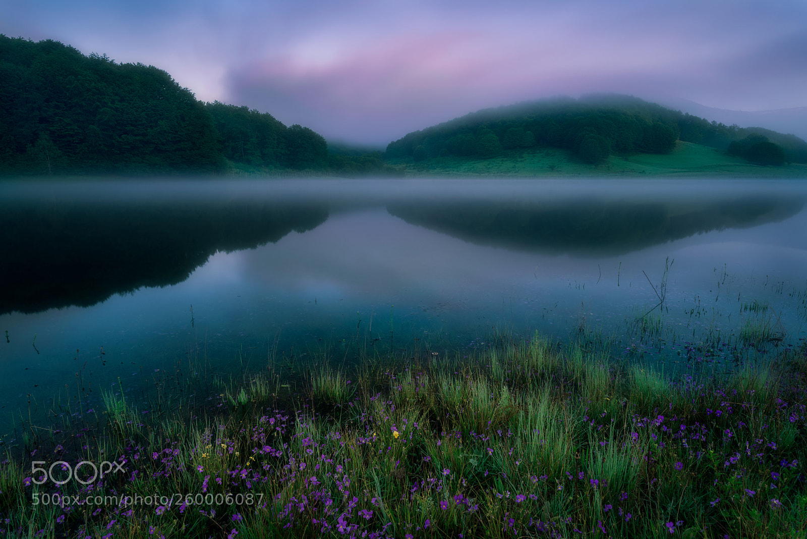 Nikon D810 sample photo. Misty photography