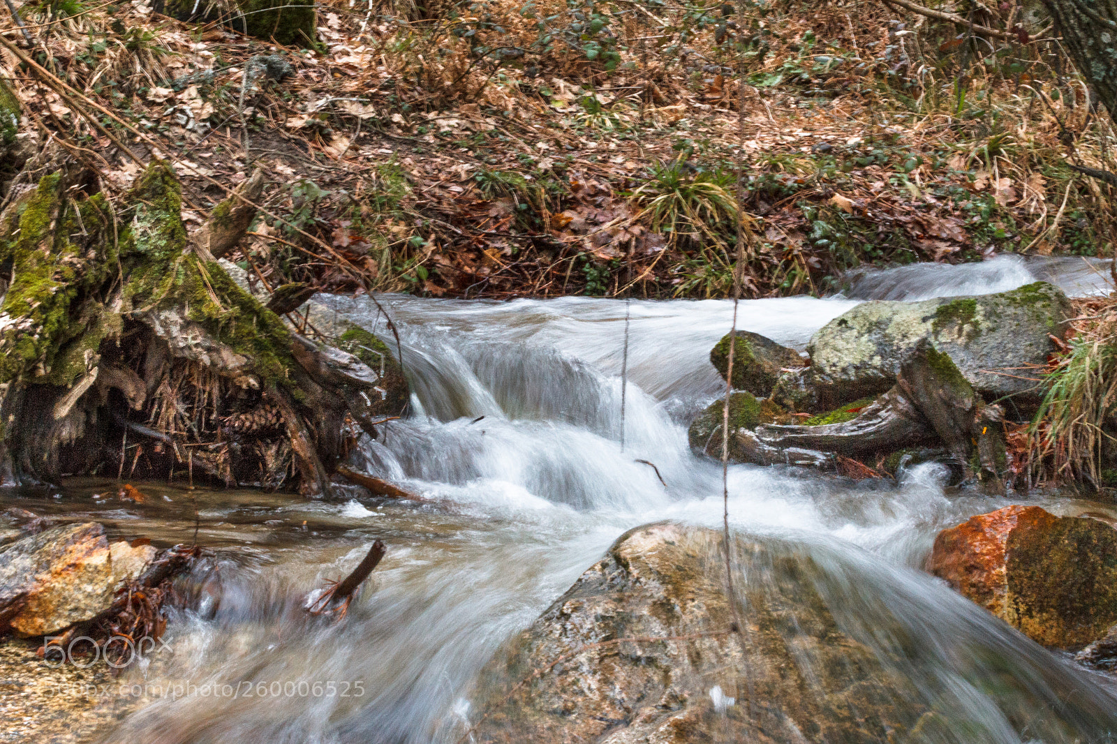 Canon EOS 60D sample photo. Parque nacional guadarrama photography