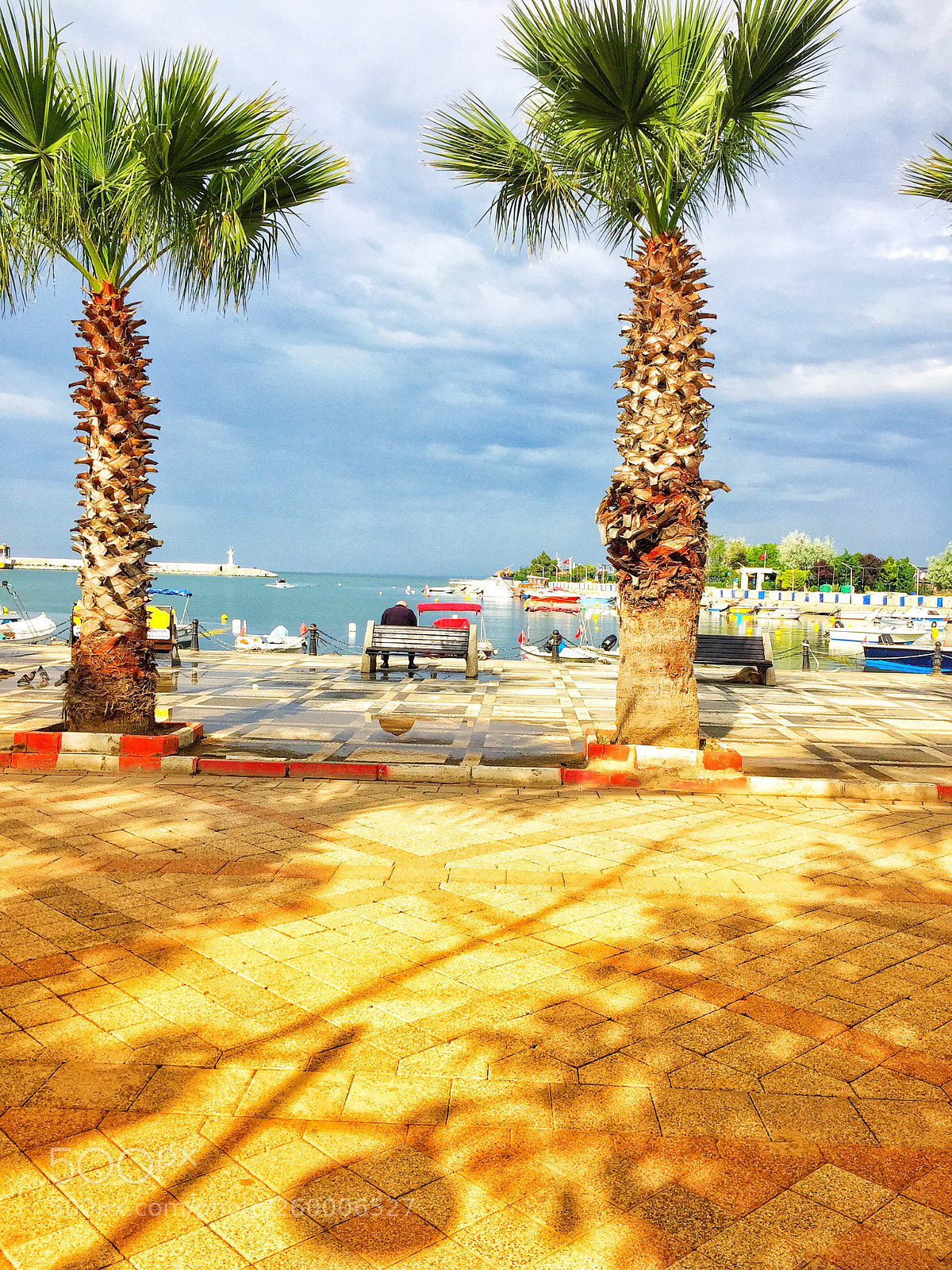 Apple iPhone 6 sample photo. Hi iyi gelmez mi photography