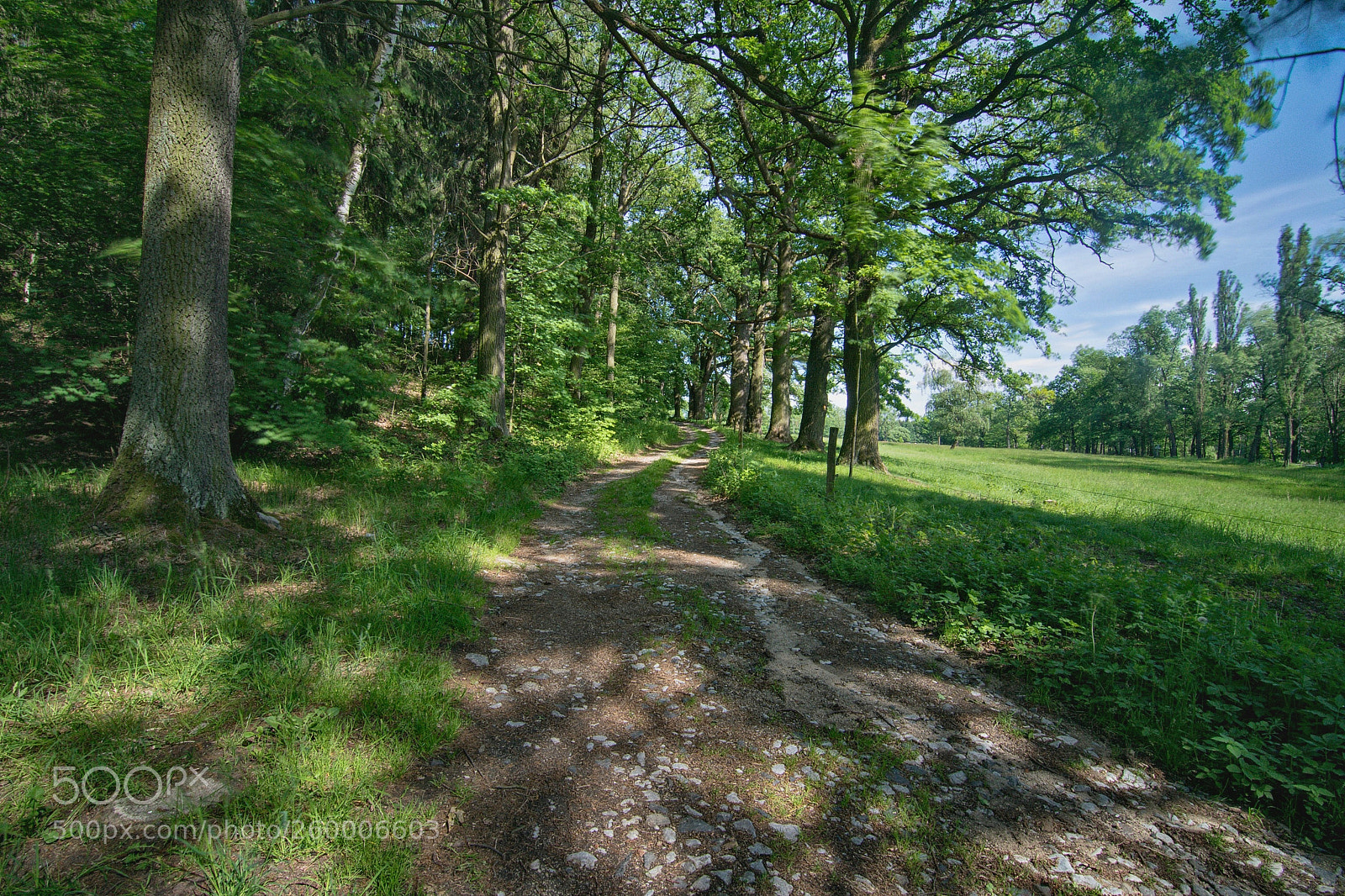 Nikon D5300 sample photo. On the go photography