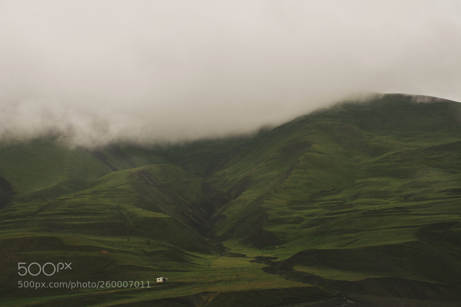 Nikon D7100 sample photo. White hut photography