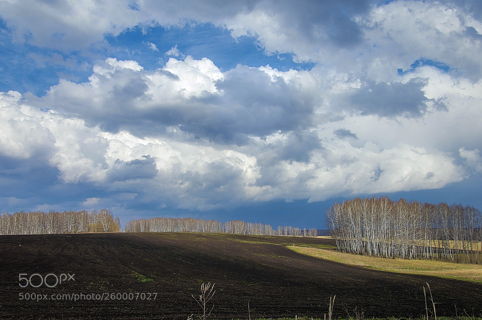 Nikon D3200 sample photo. Пашня photography