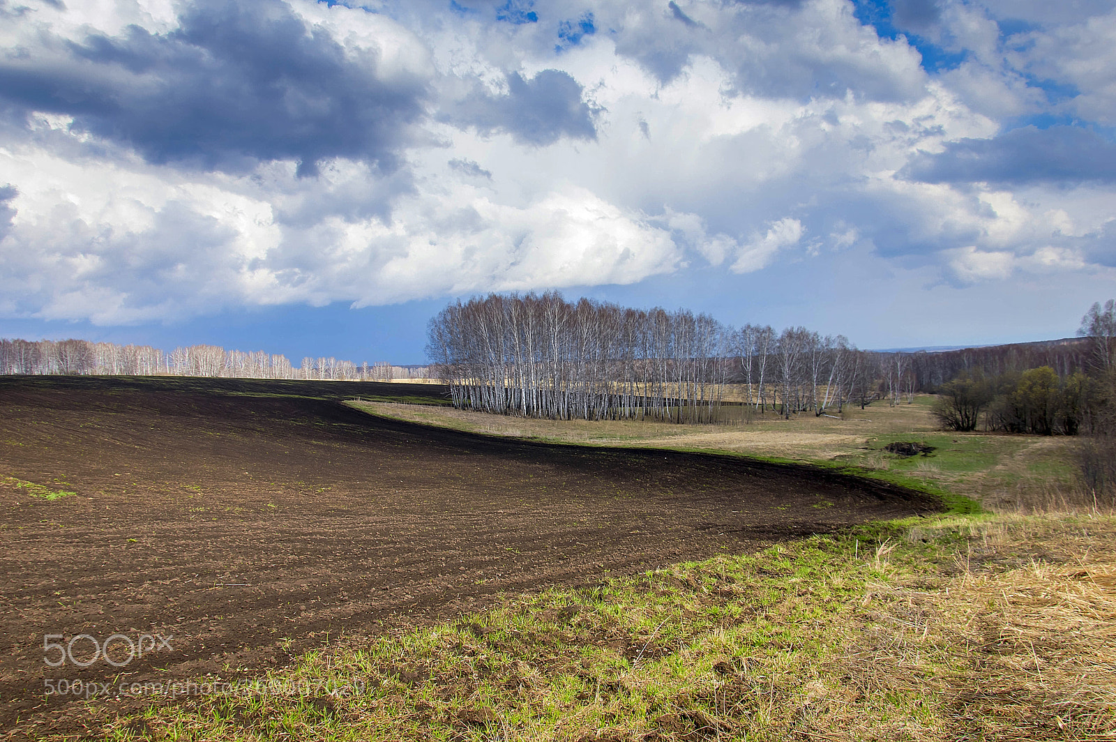 Nikon D3200 sample photo. Пашня photography