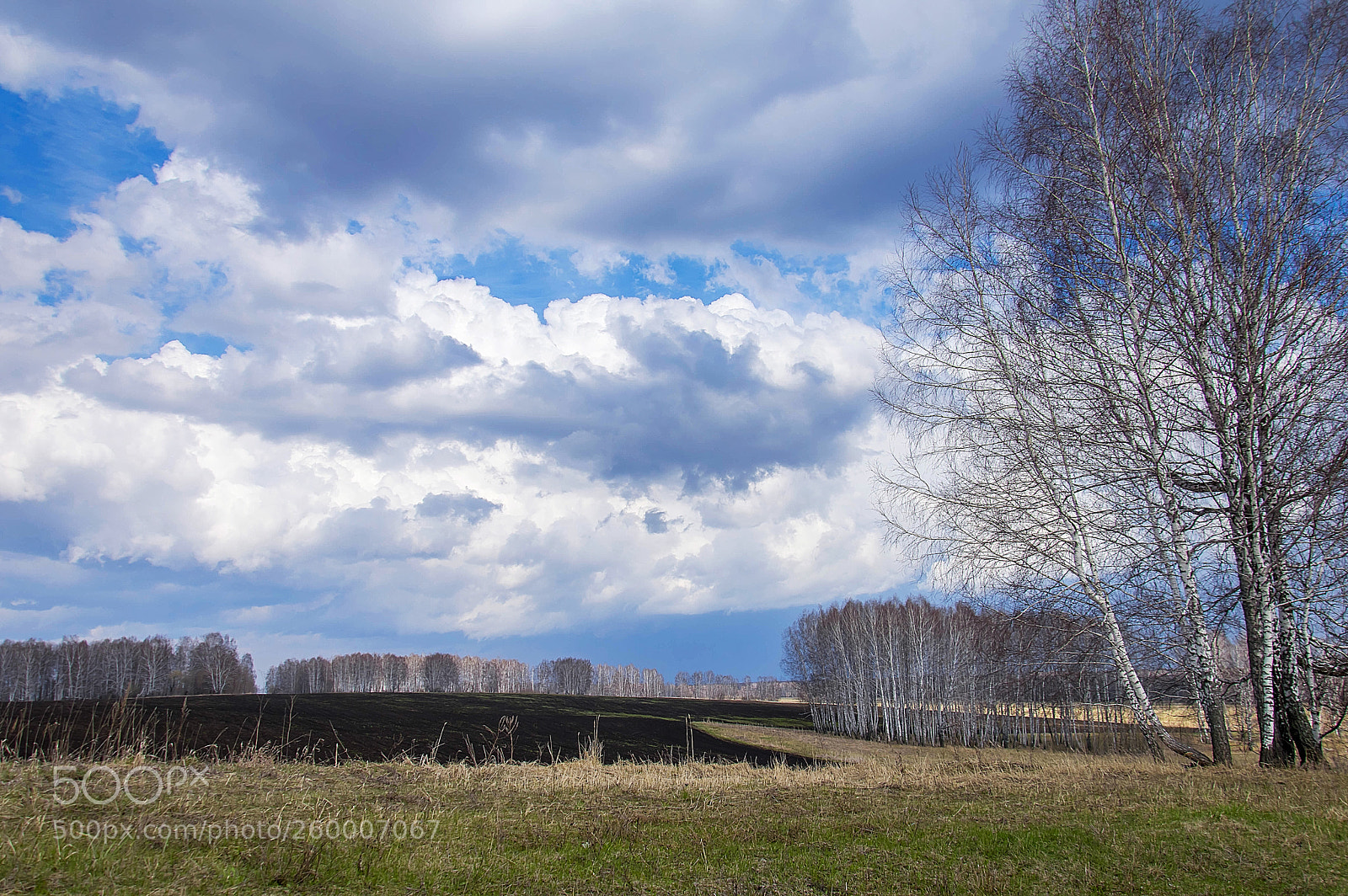 Nikon D3200 sample photo. Пашня photography