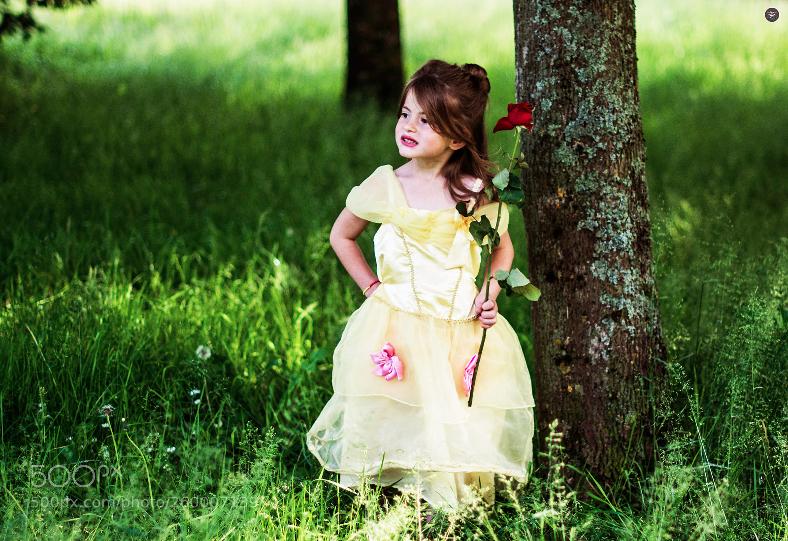 Nikon D7100 sample photo. Princesse disney belle photography