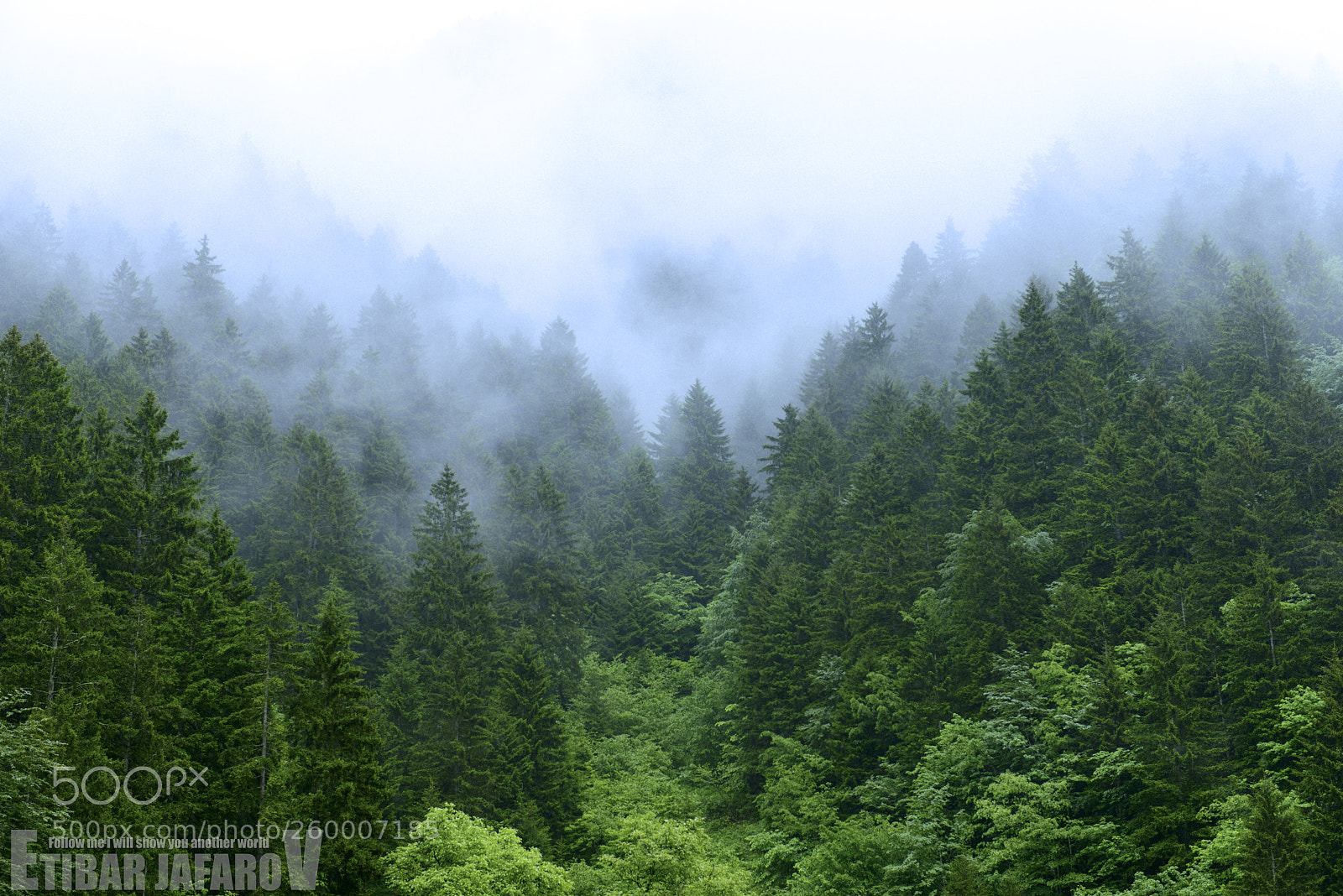 Nikon D800 sample photo. UzungÖl photography