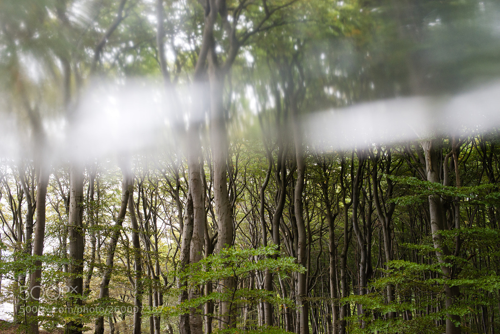 Nikon D600 sample photo. Untitled het c-c project photography