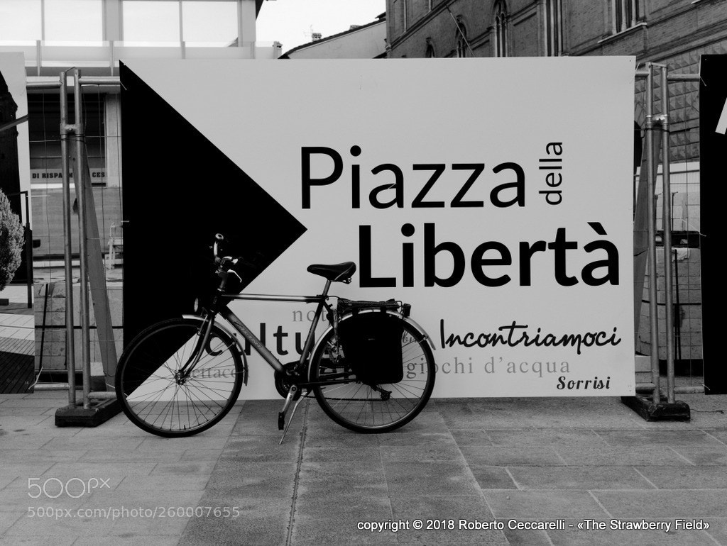 Panasonic Lumix DMC-LX100 sample photo. Festival del cibo di photography
