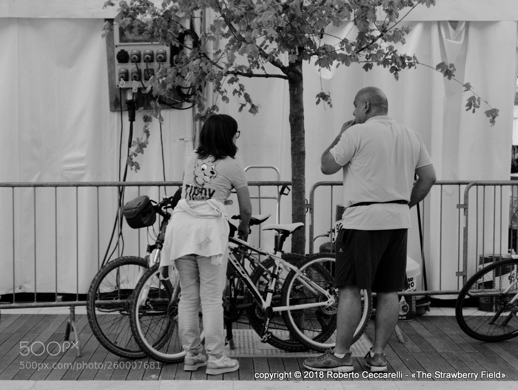 Panasonic Lumix DMC-LX100 sample photo. Festival del cibo di photography
