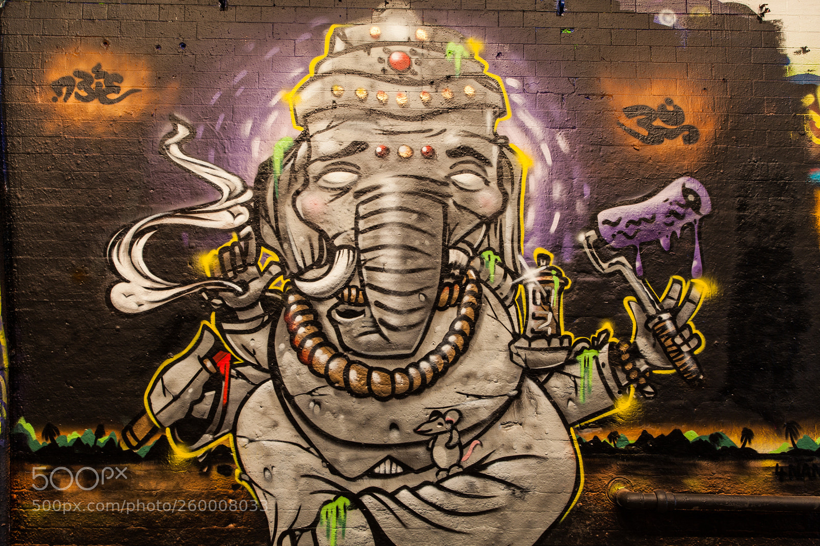 Canon EOS 5D Mark II sample photo. Grafitti tunnel photography