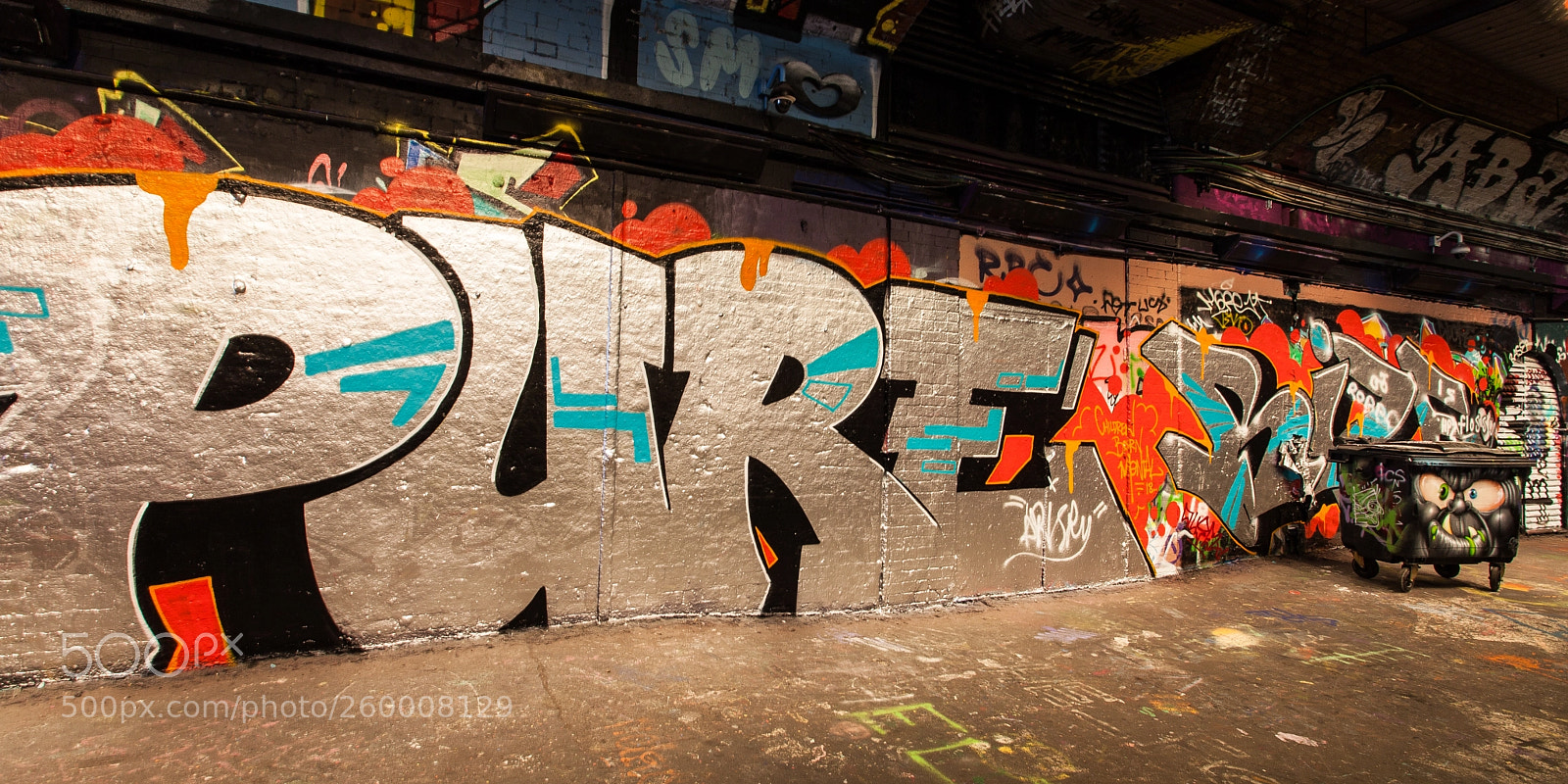 Canon EOS 5D Mark II sample photo. Grafitti tunnel photography