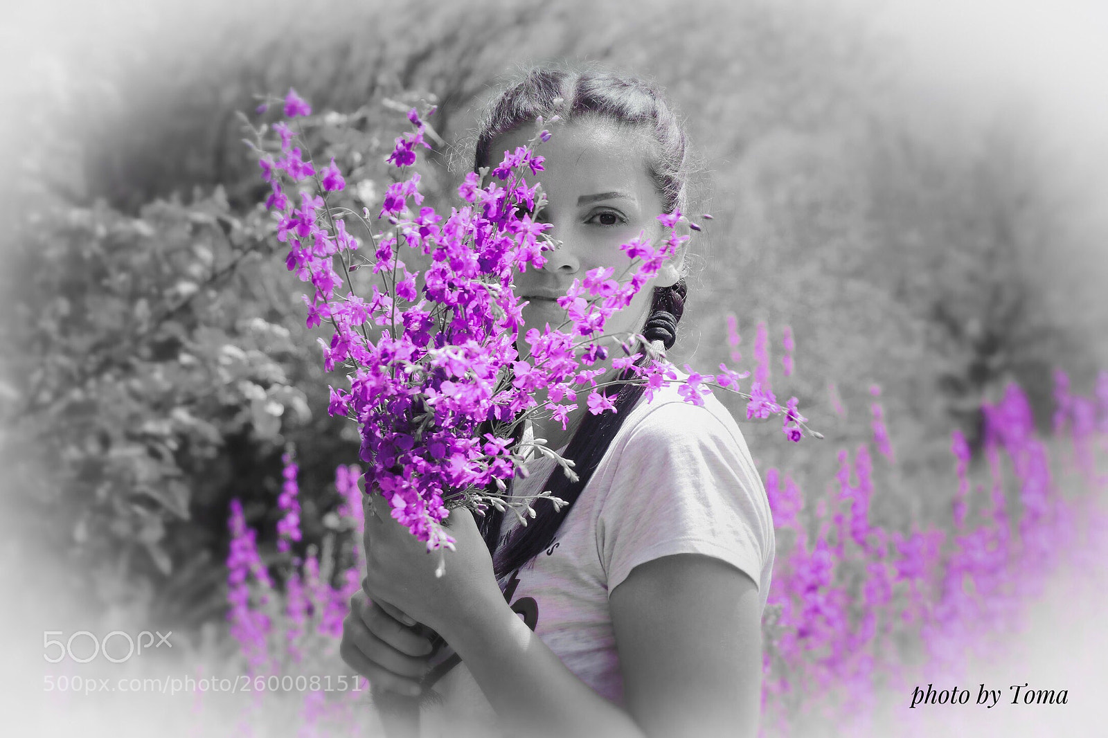 Canon EOS 80D sample photo. Untitled photography