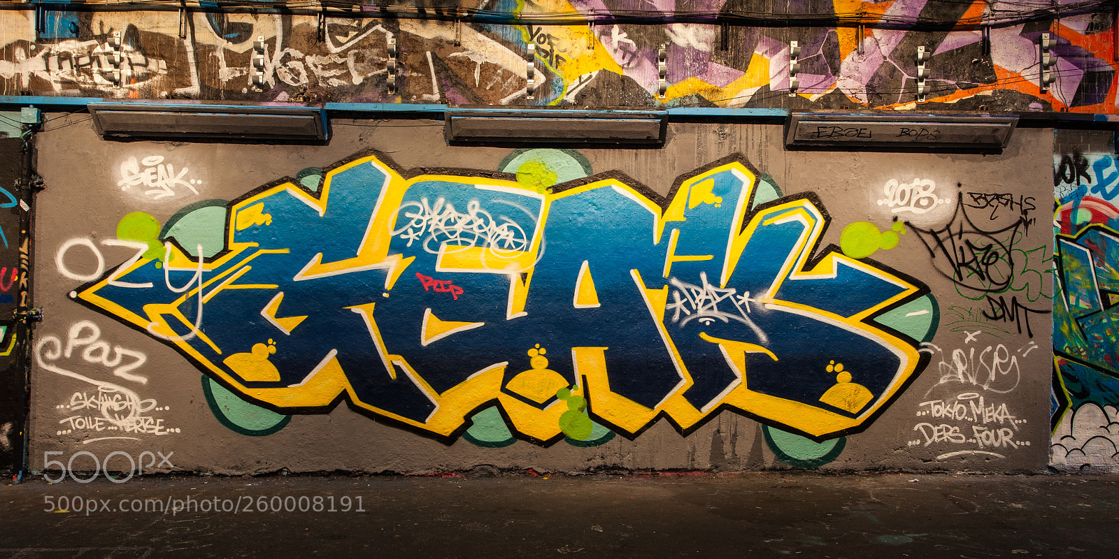Canon EOS 5D Mark II sample photo. Grafitti tunnel photography