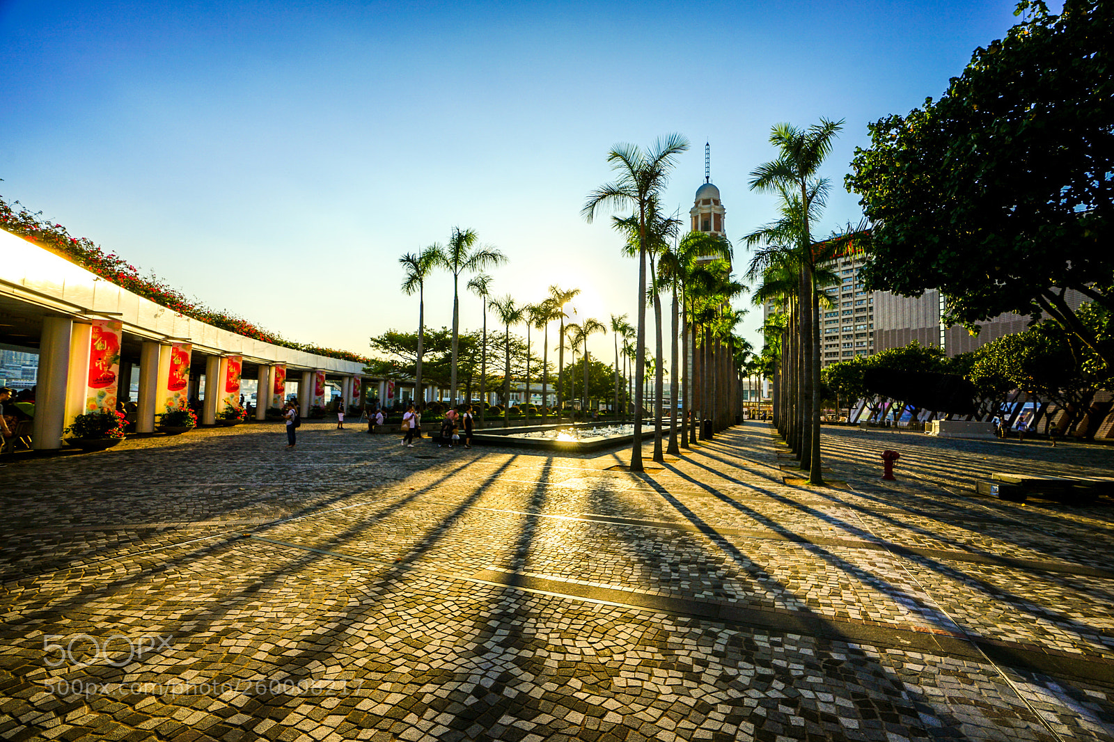 Sony a7 II sample photo. Before sunset photography