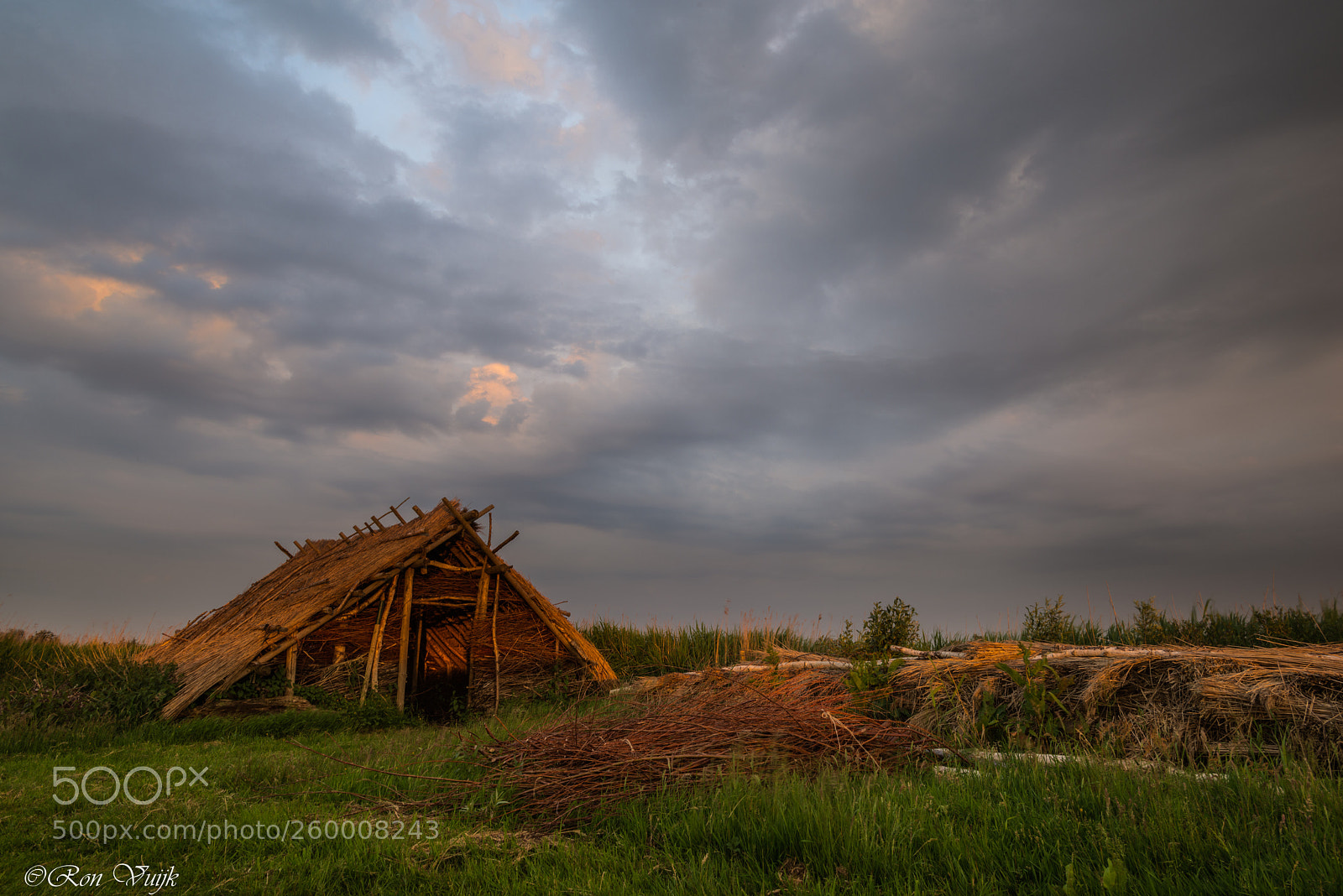 Nikon D800E sample photo. Longhouse photography