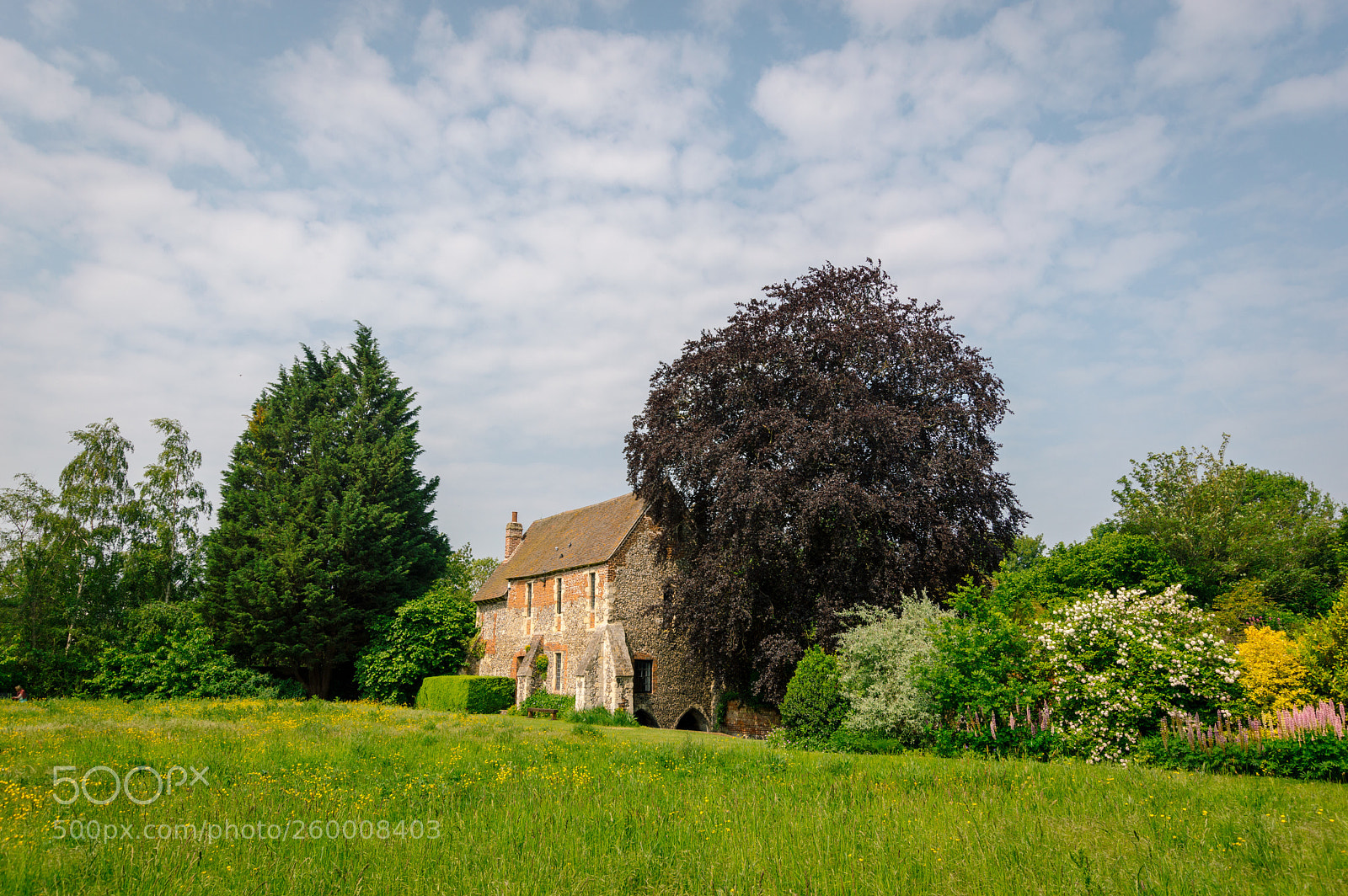 Nikon D3200 sample photo. Greyfriars chapel, canterbury  photography