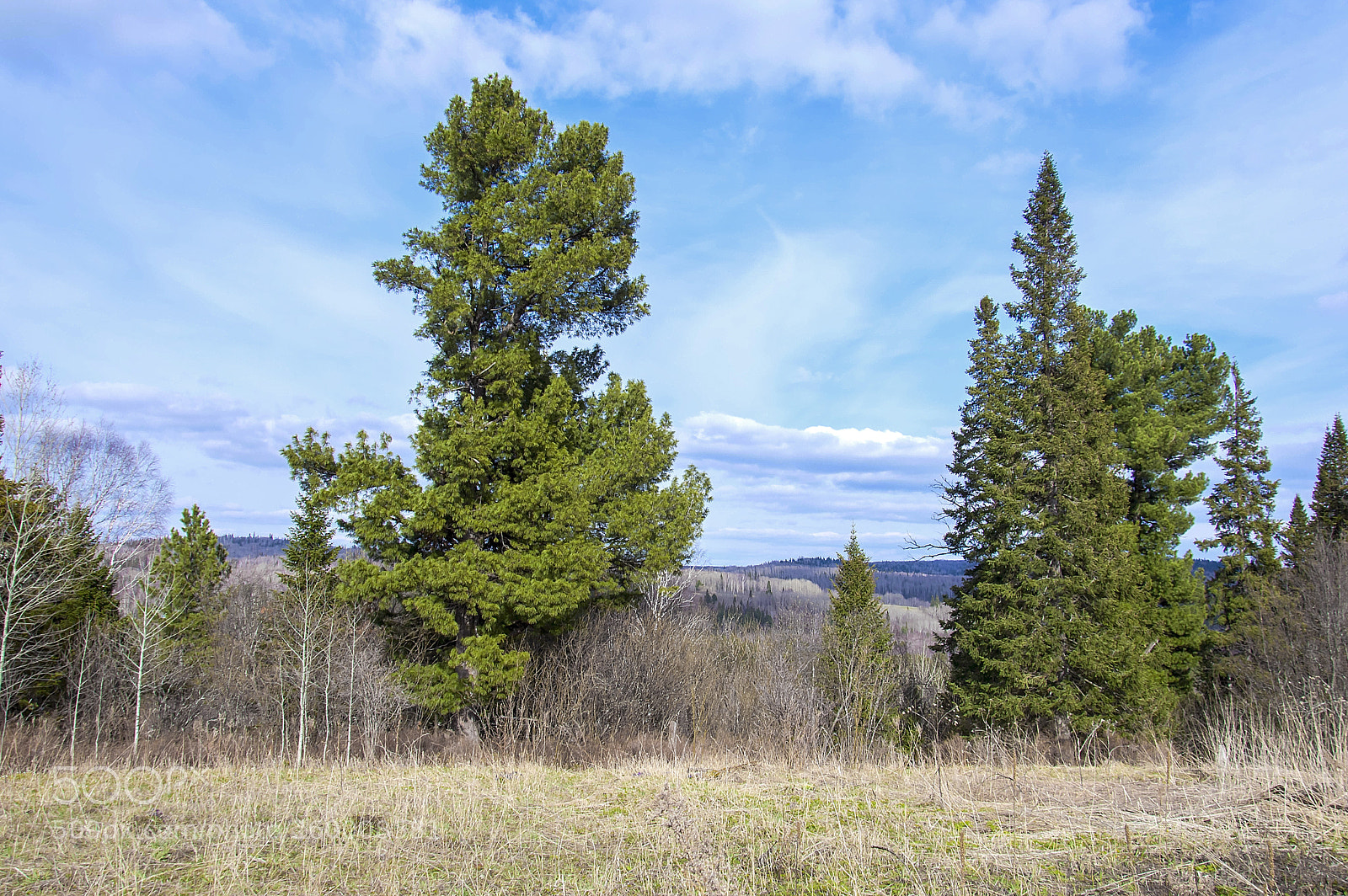 Nikon D3200 sample photo. Без названия photography